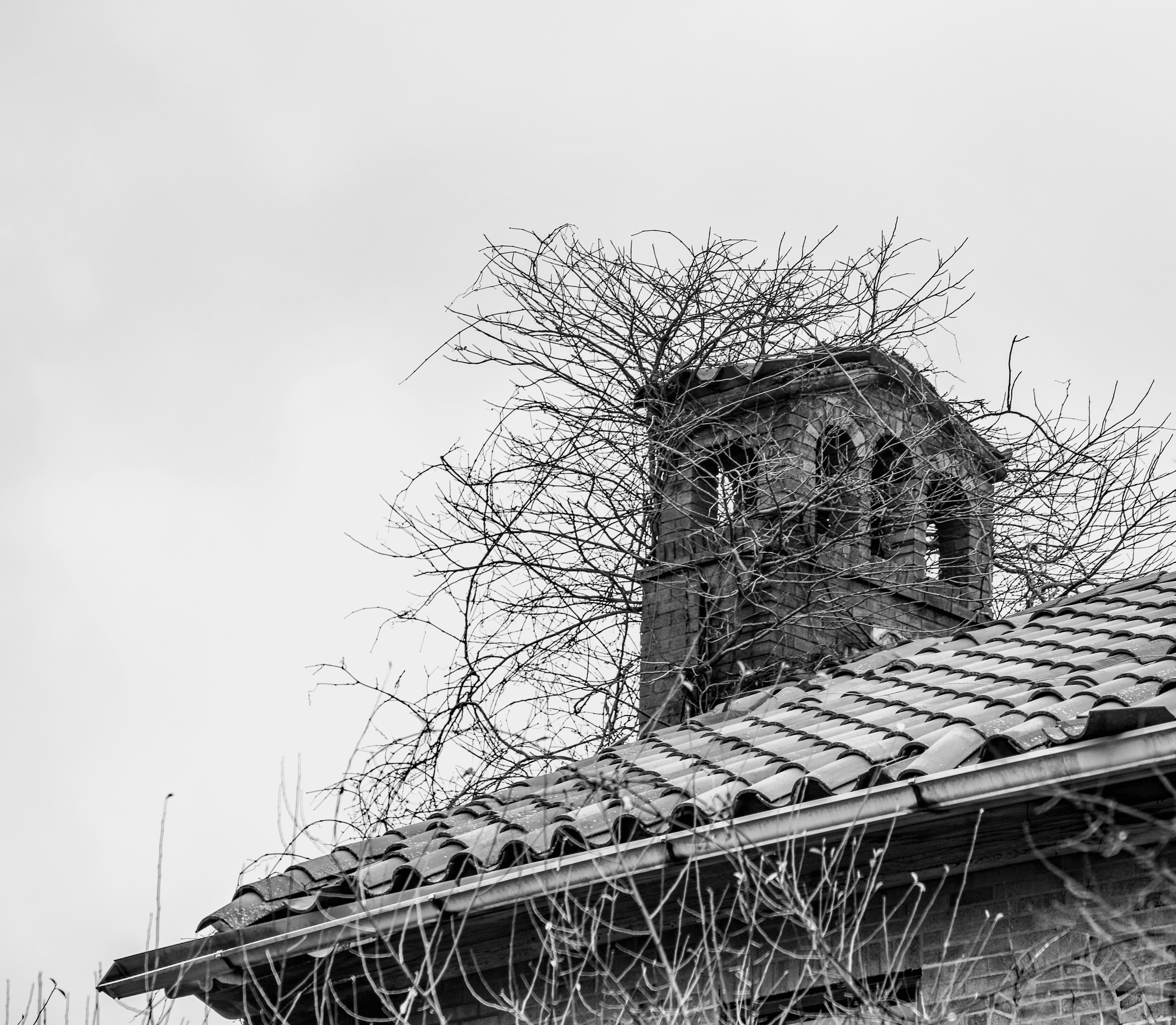 Photo by michaelbweidner