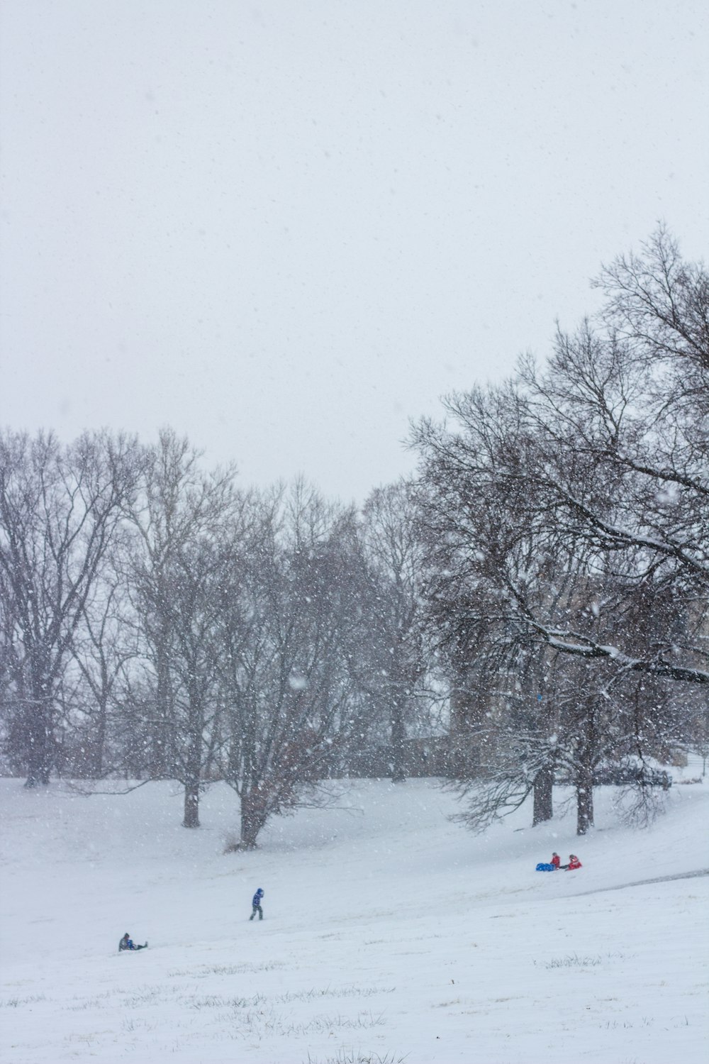 person in red jacket walking on snow covered road during daytime