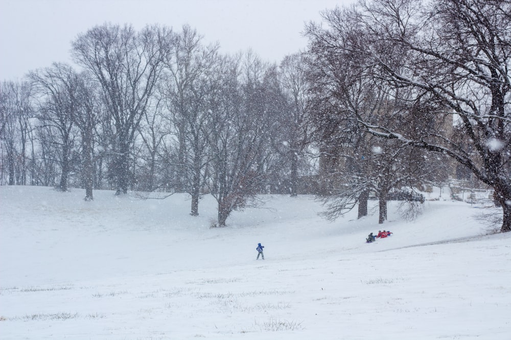 people on snow covered field during daytime