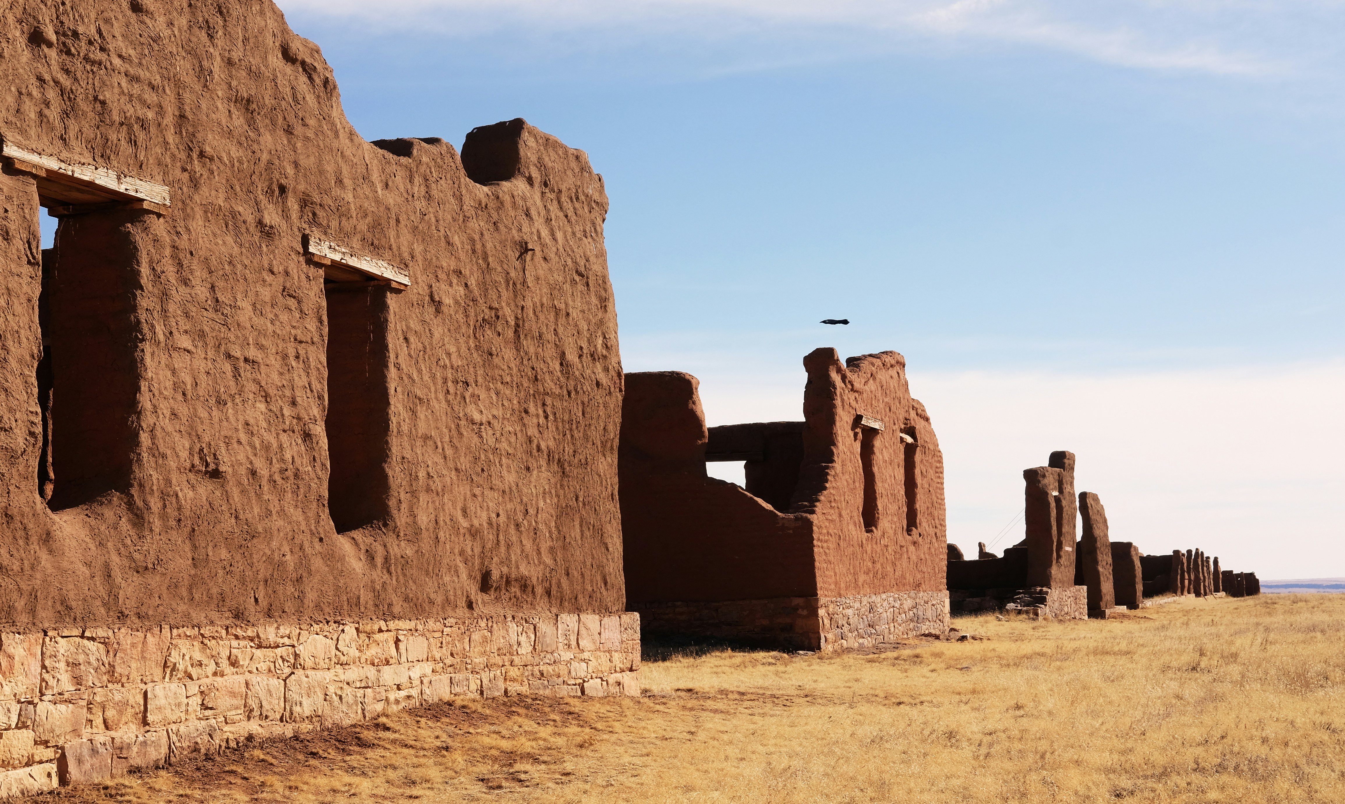 Photo by robertharknessart