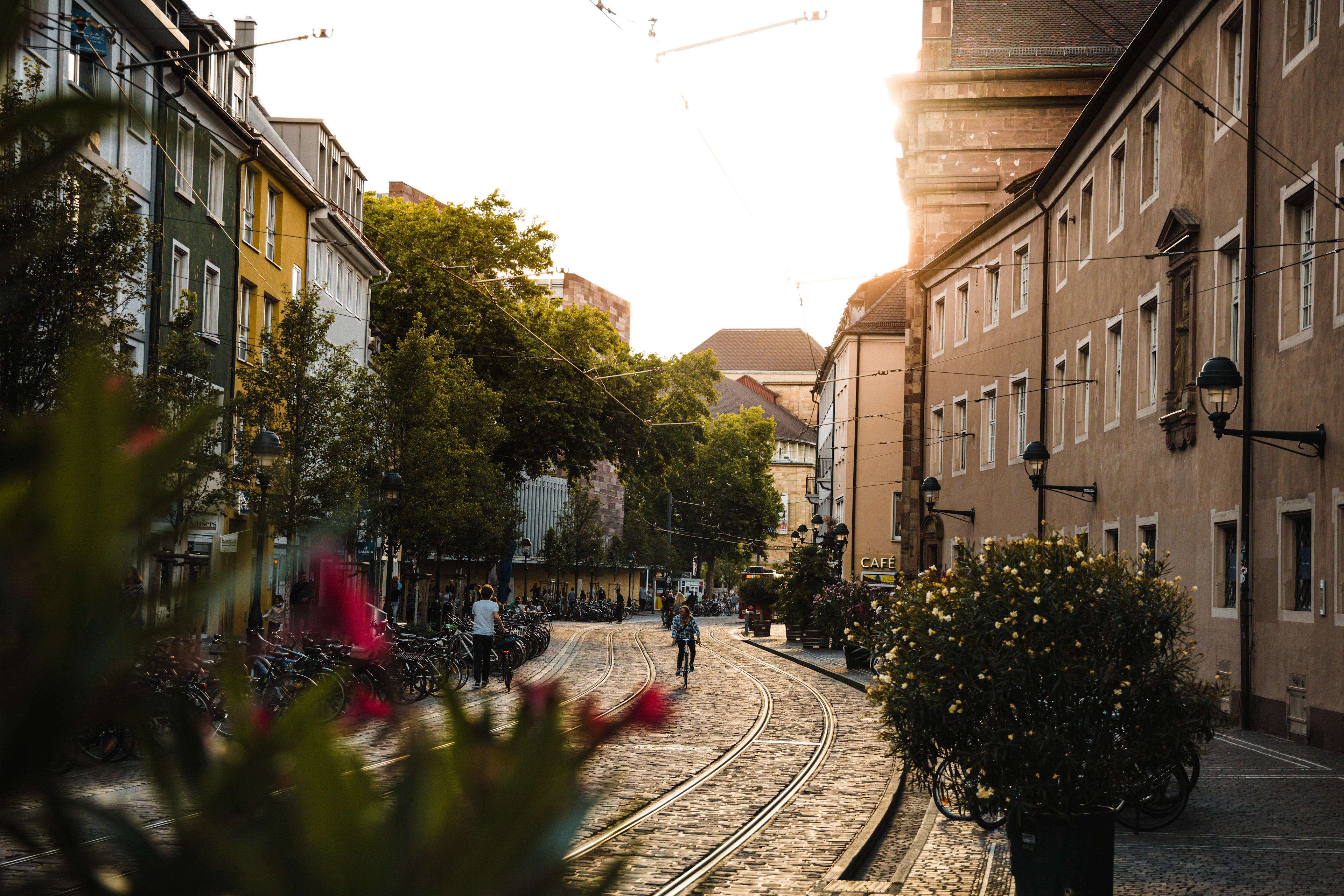Foto aus Freiburg