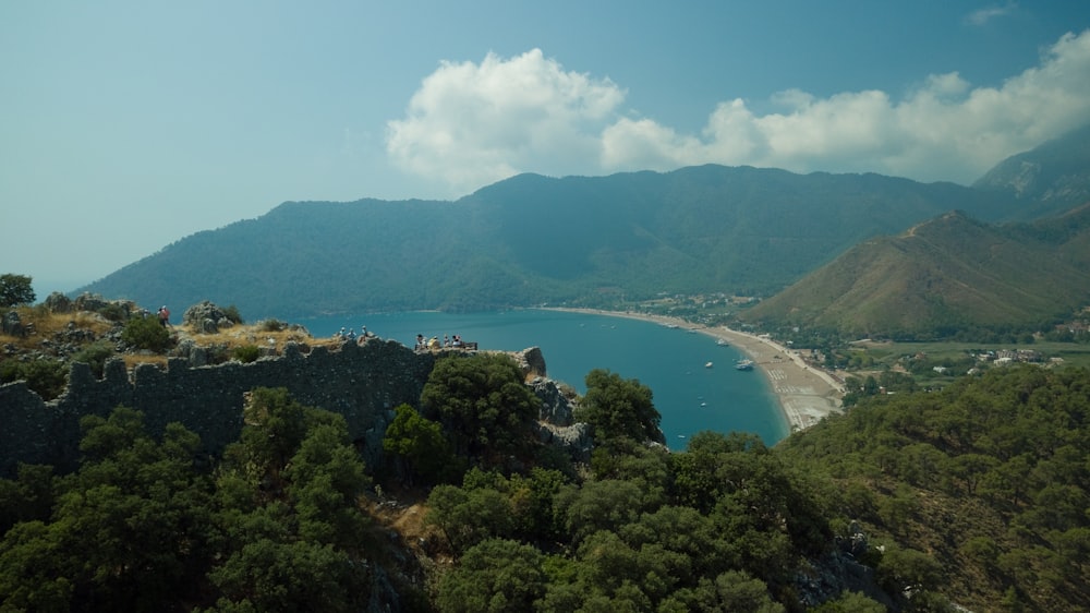 green trees on mountain near body of water during daytime