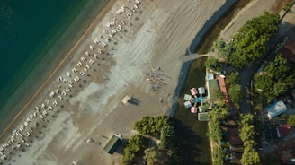 An aerial view of a beach with a long stretch of shoreline, featuring neatly arranged rows of sunbeds and umbrellas. People are gathered in a small formation near the water's edge. The sea appears calm with a gradient of blue and green. Towards the right, there are green trees and a cluster of buildings with colorful roofs lining the beach.