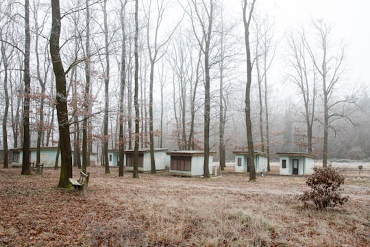 brown wooden house surrounded by bare trees in Sopron Hungary