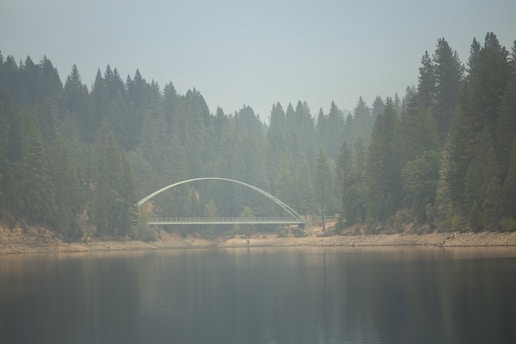 A serene landscape with a bridge connecting a lush forest to a tranquil lake, symbolizing the connection between the sacred and everyday life.