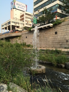 A water fountain is located in a small, lush canal surrounded by greenery in an urban setting. Tall buildings and a billboard are visible in the background along with a stone wall separating the canal from the street above.
