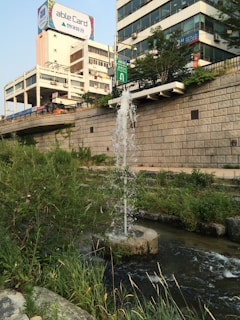 A water fountain is located in a small, lush canal surrounded by greenery in an urban setting. Tall buildings and a billboard are visible in the background along with a stone wall separating the canal from the street above.