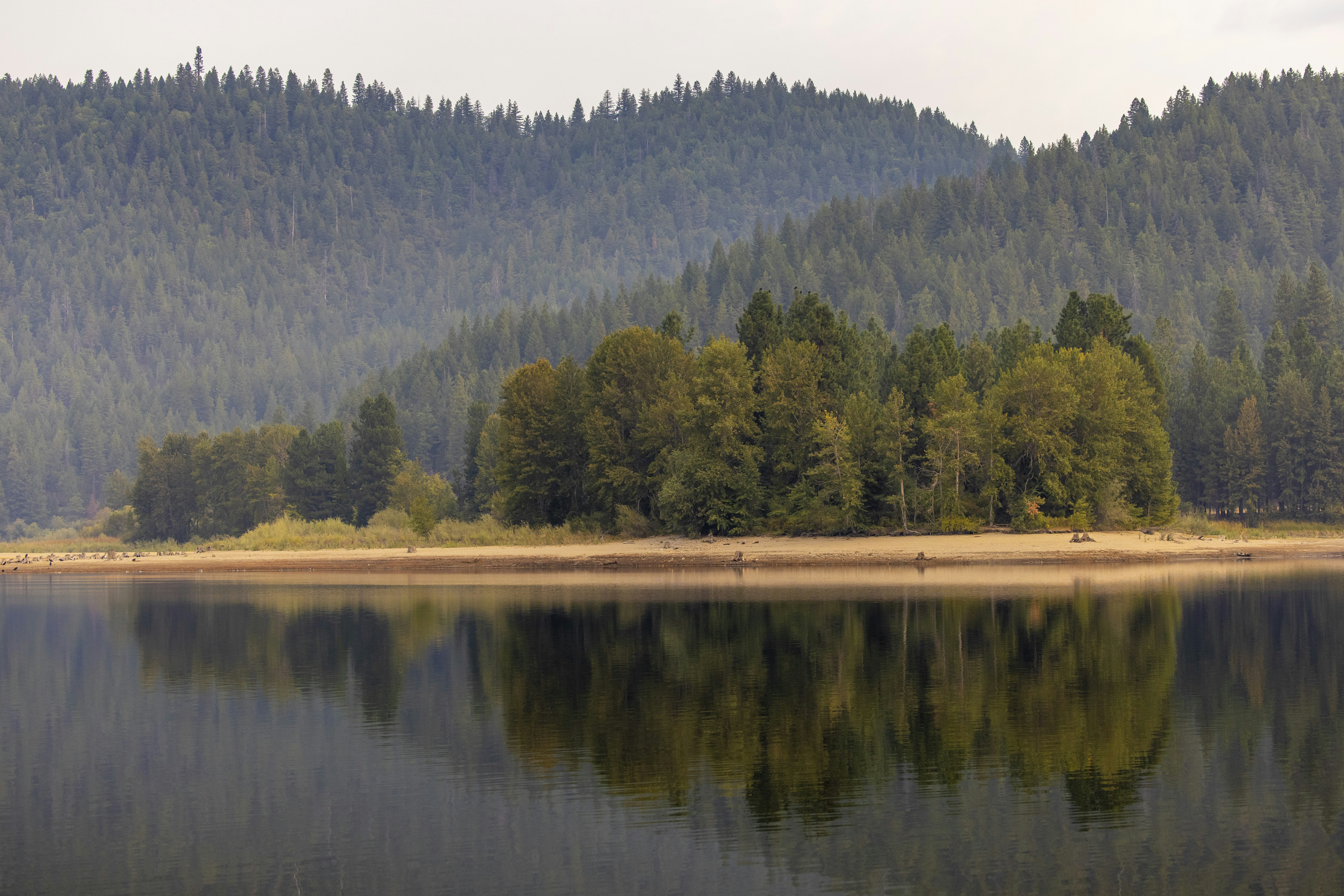 Photo by leo_visions_