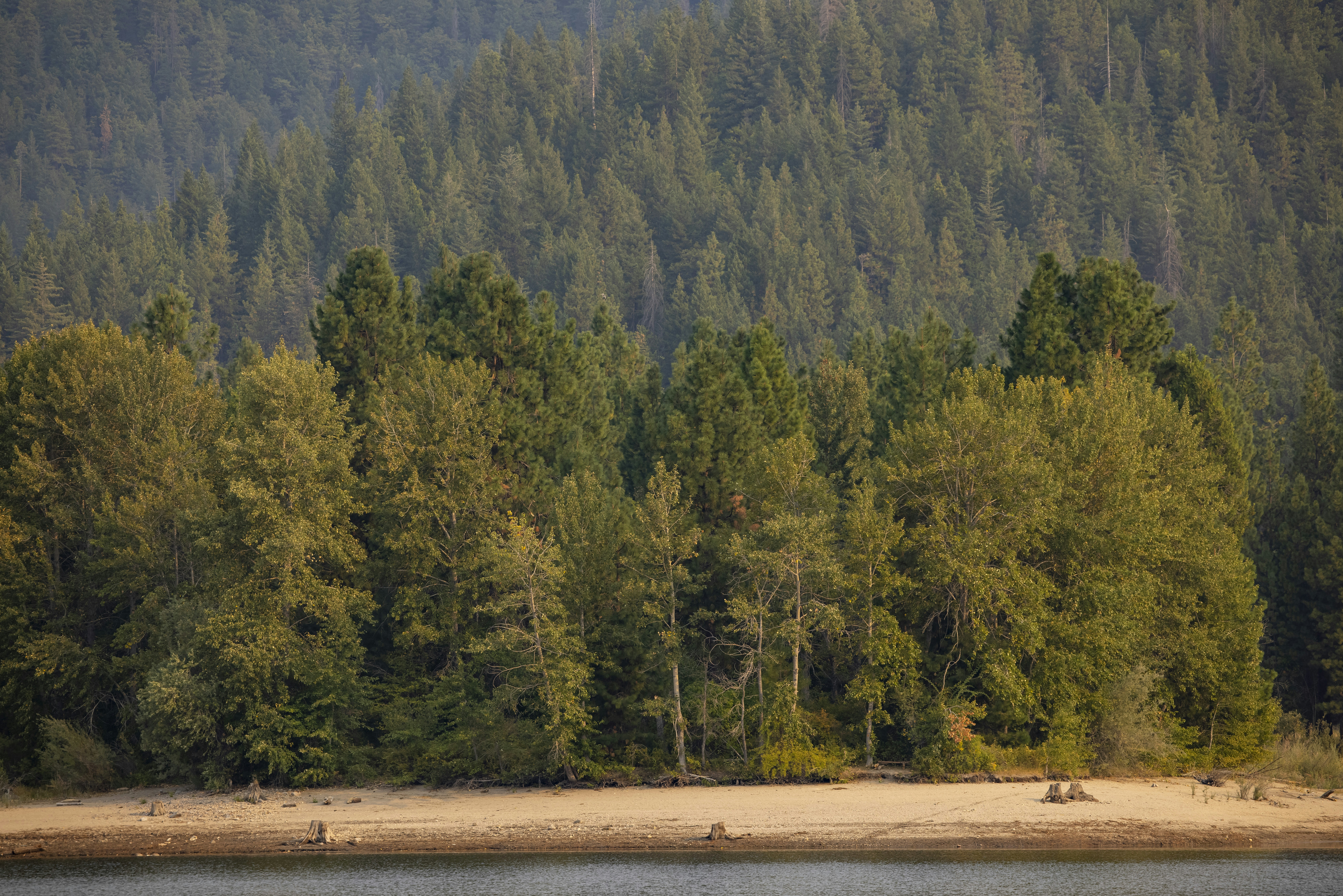 Photo by leo_visions_