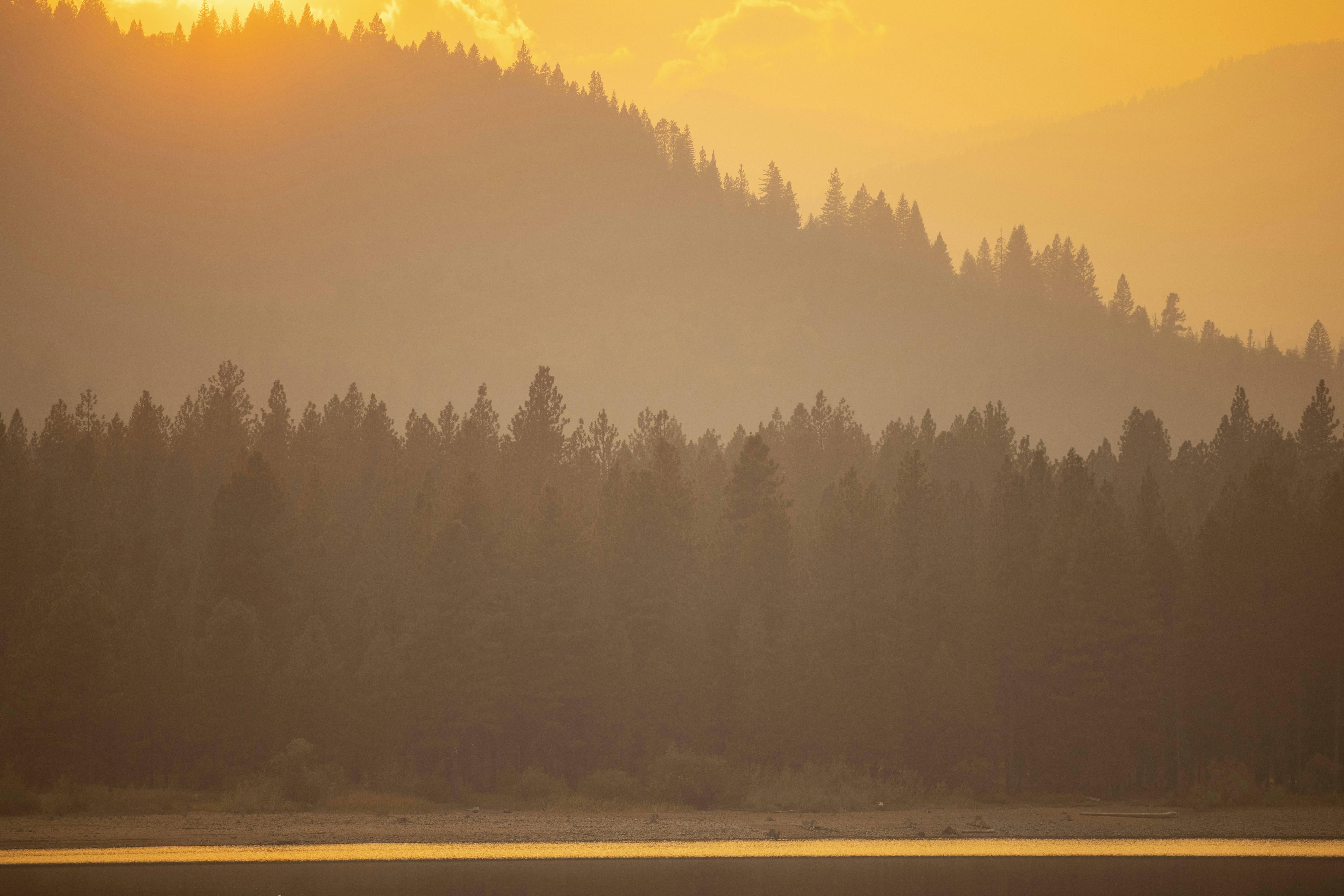 Photo by leo_visions_