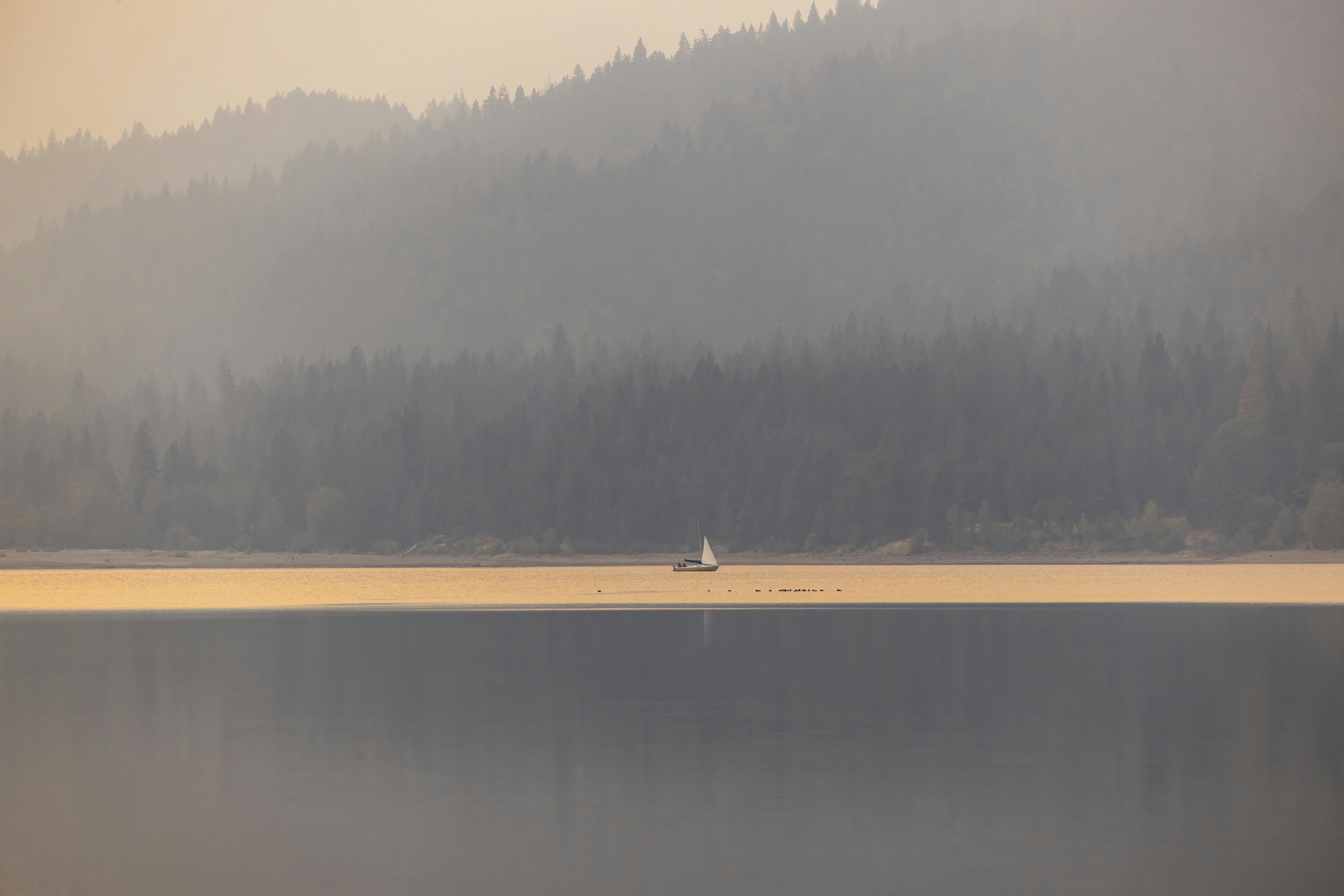 Photo by leo_visions_