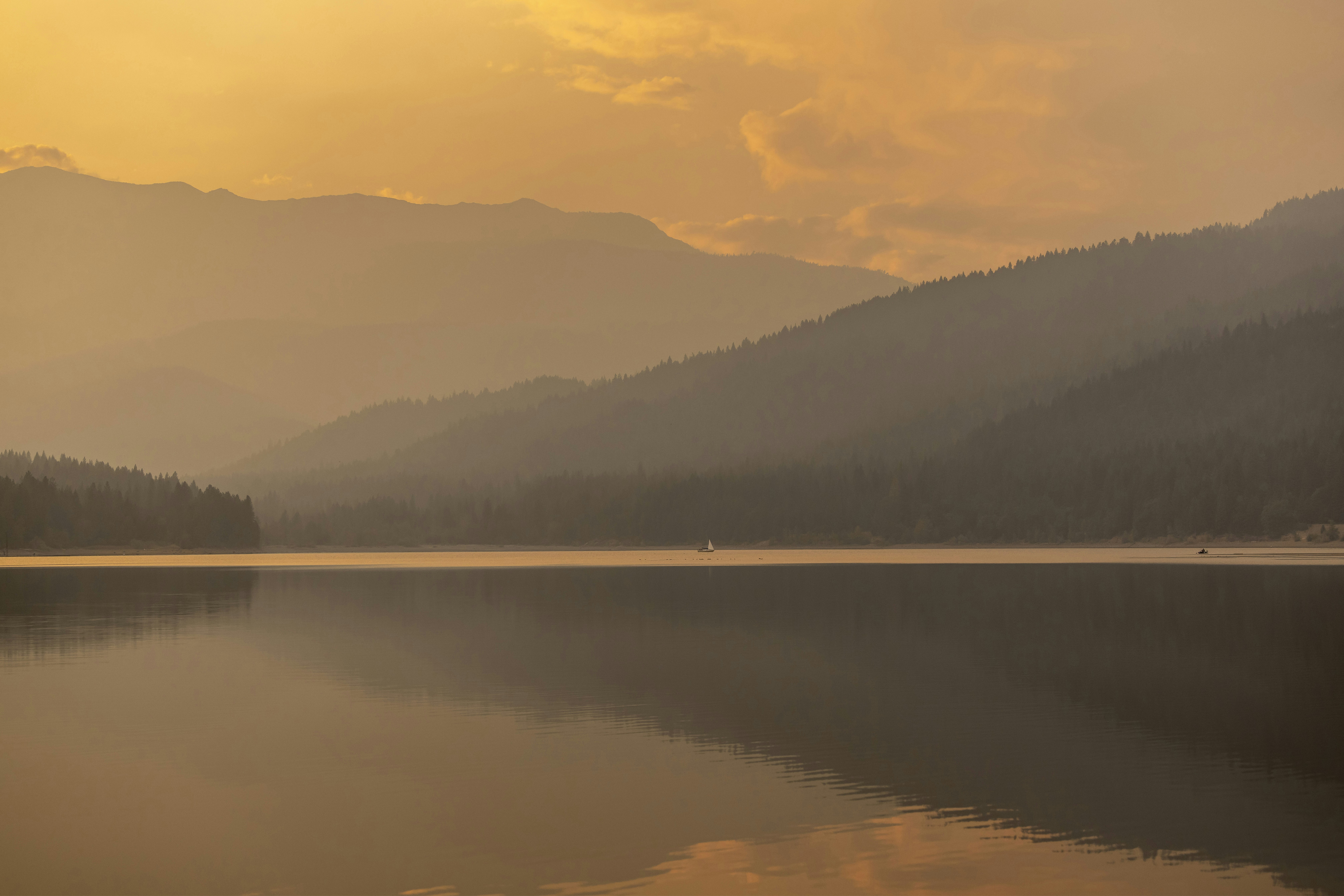 Photo by leo_visions_