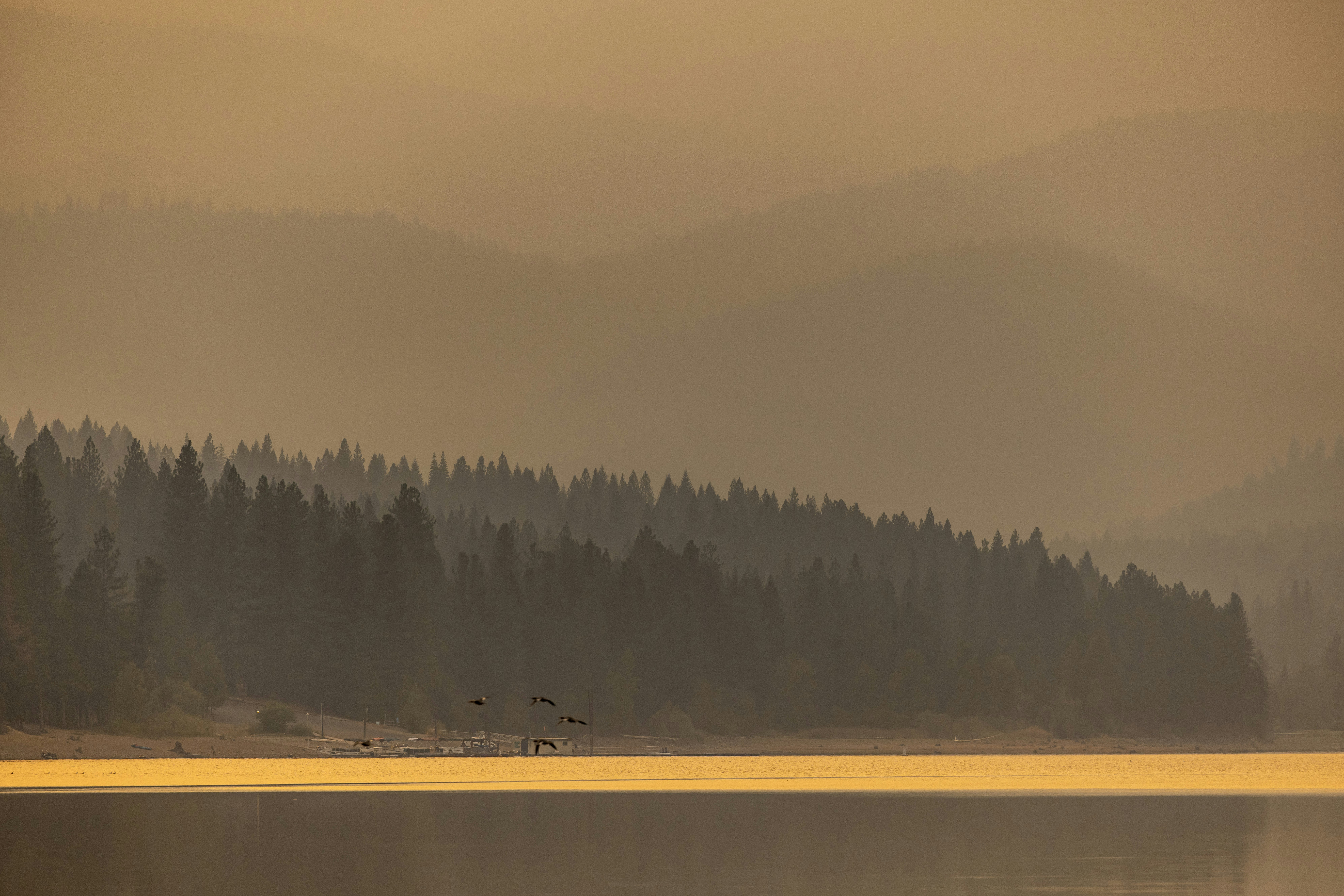 Photo by leo_visions_