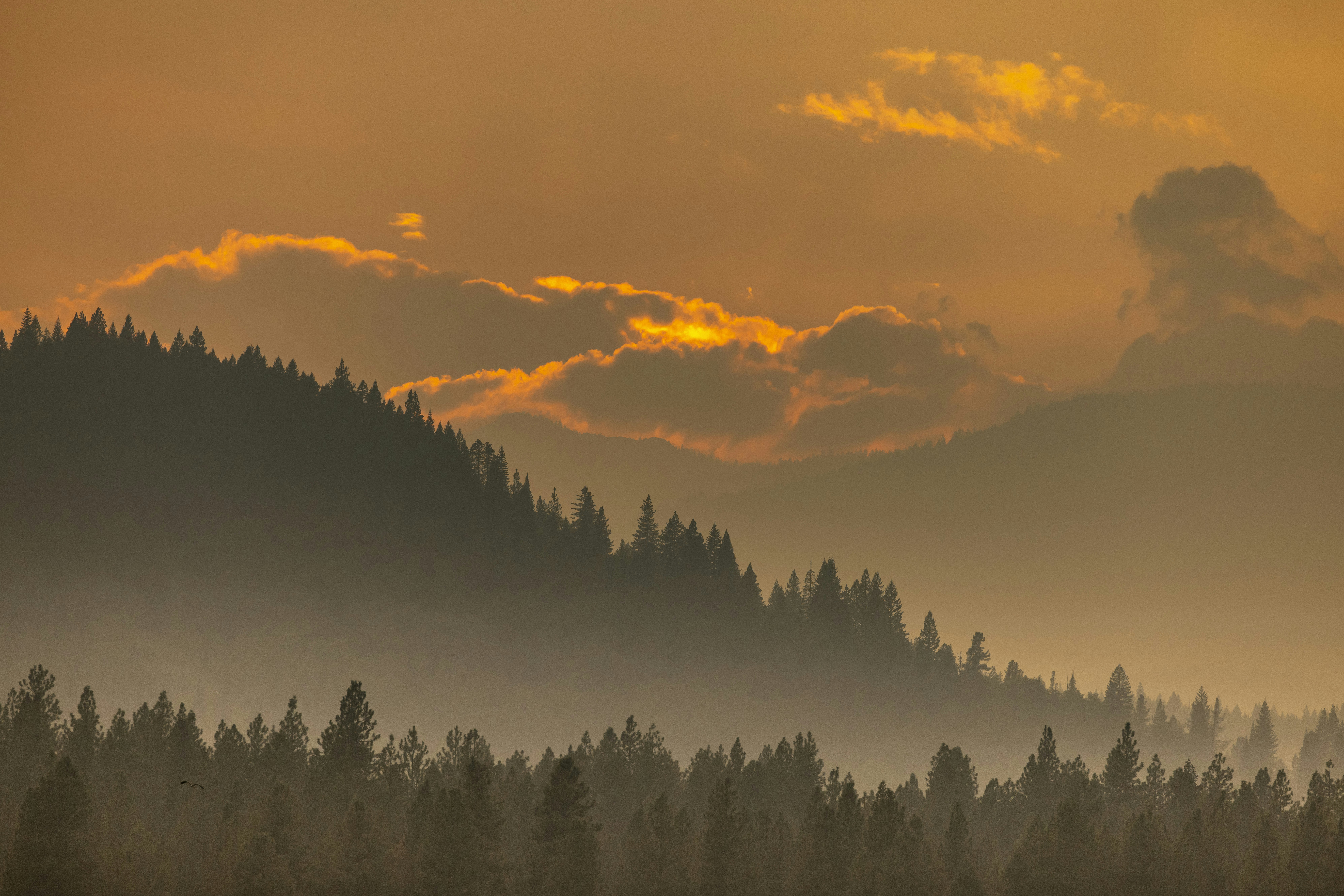 Photo by leo_visions_