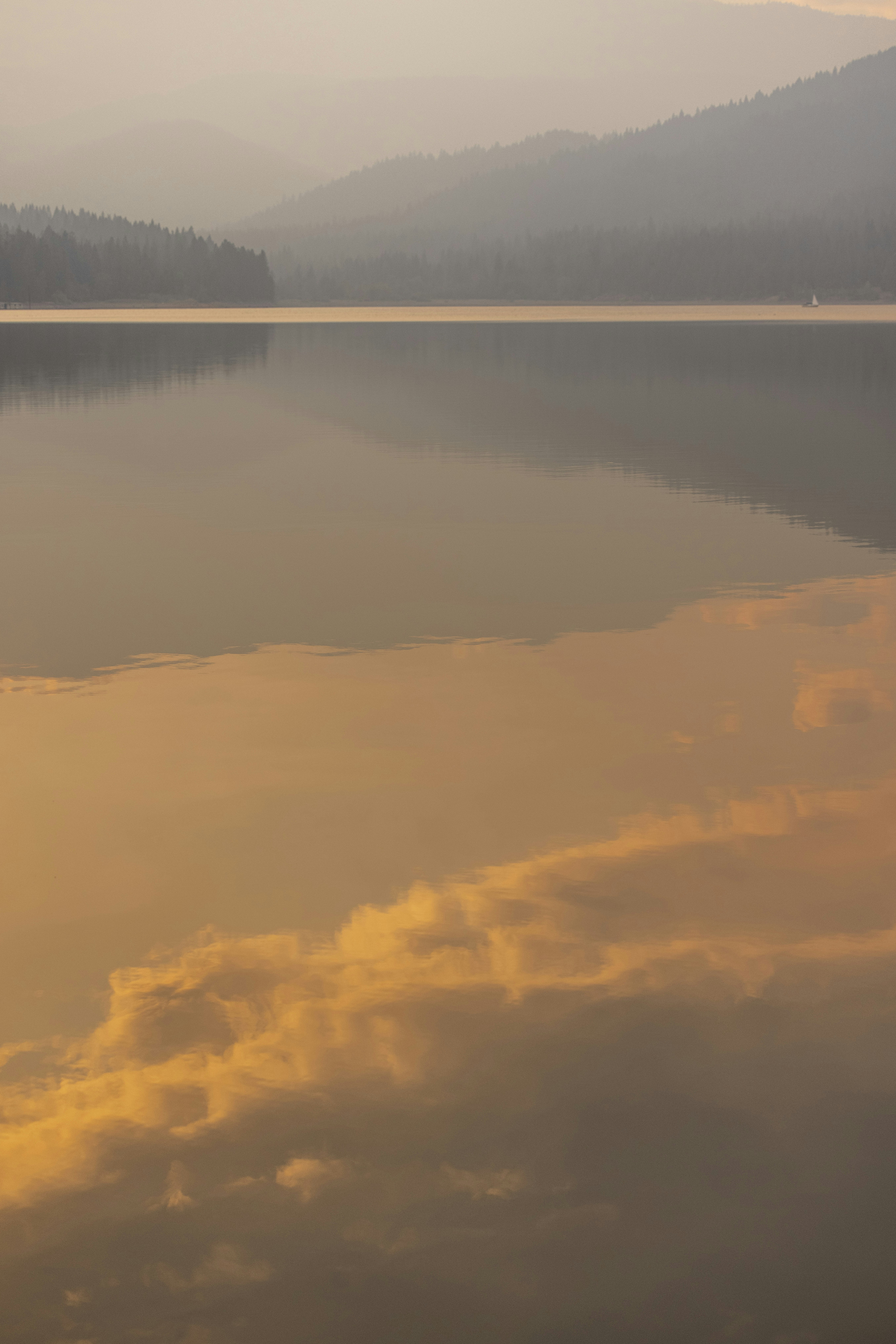 Photo by leo_visions_