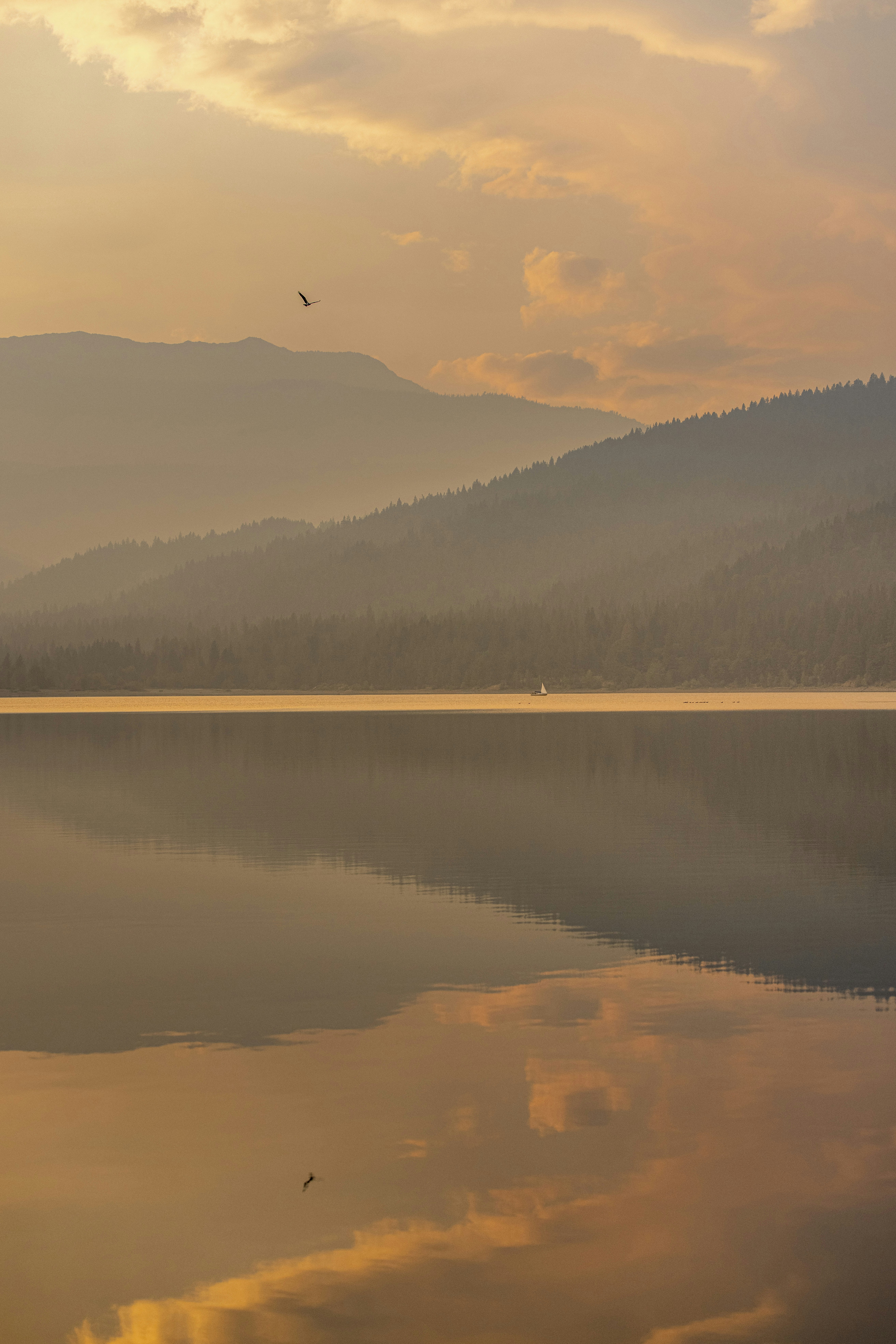 Photo by leo_visions_