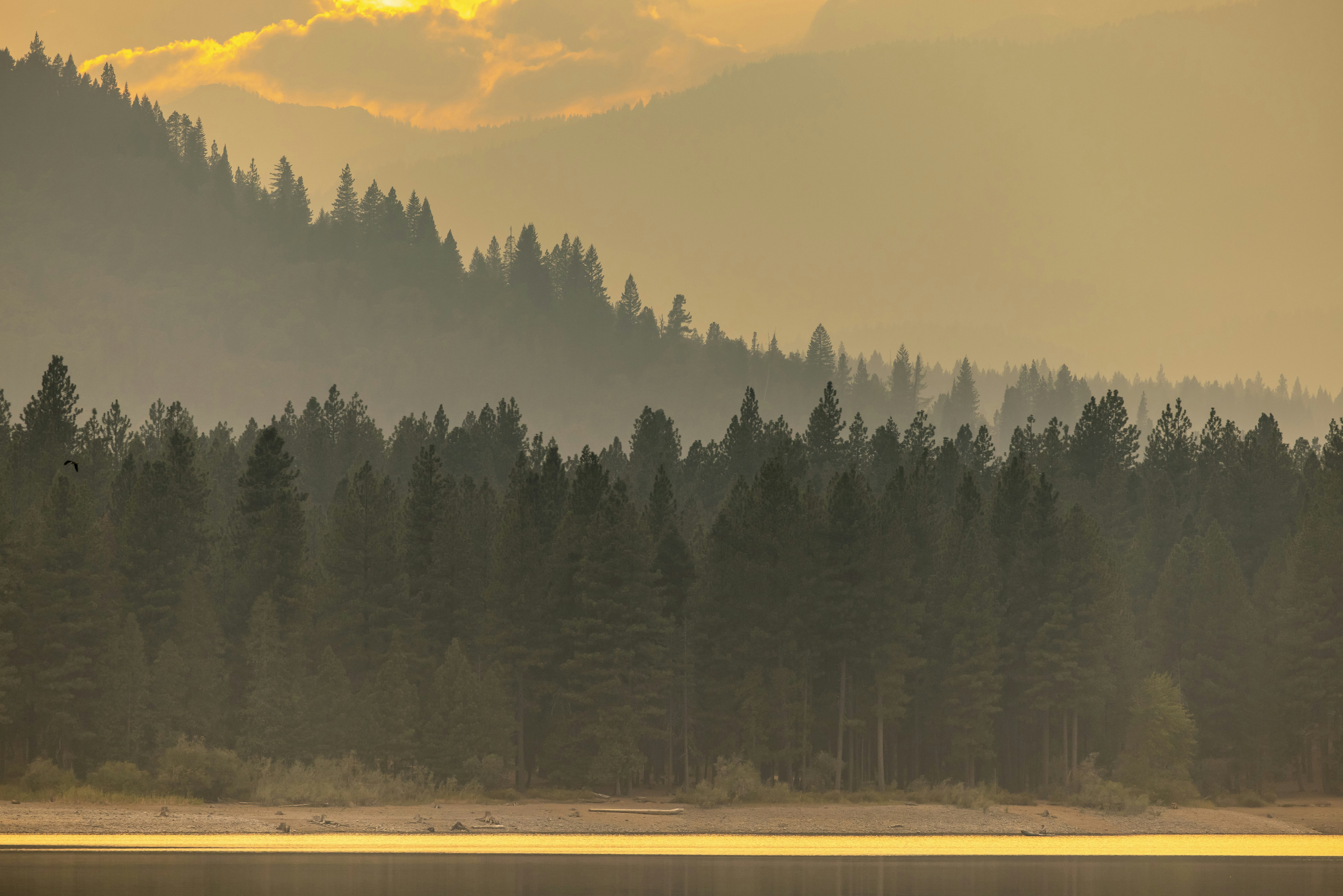 Photo by leo_visions_