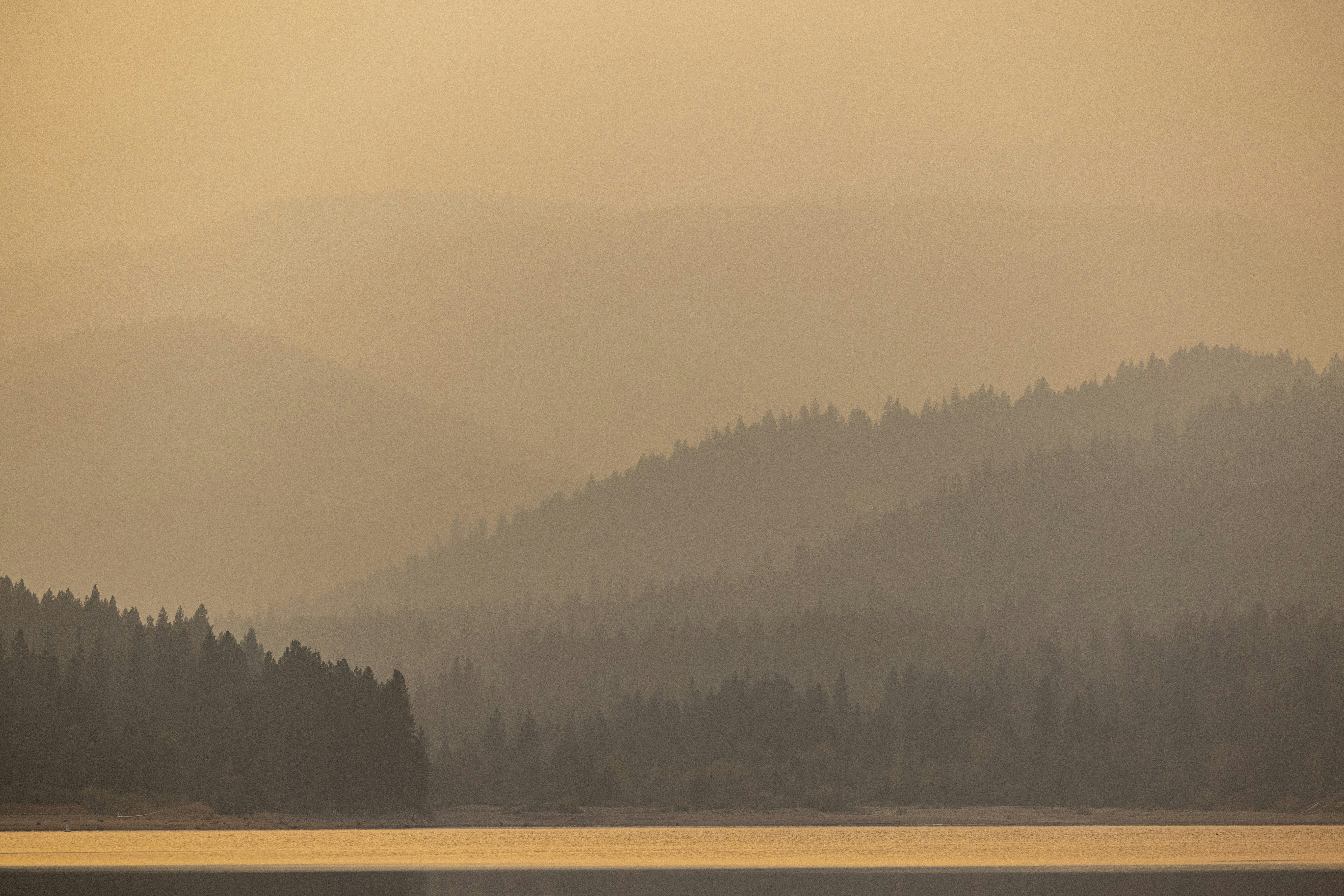 Photo by leo_visions_