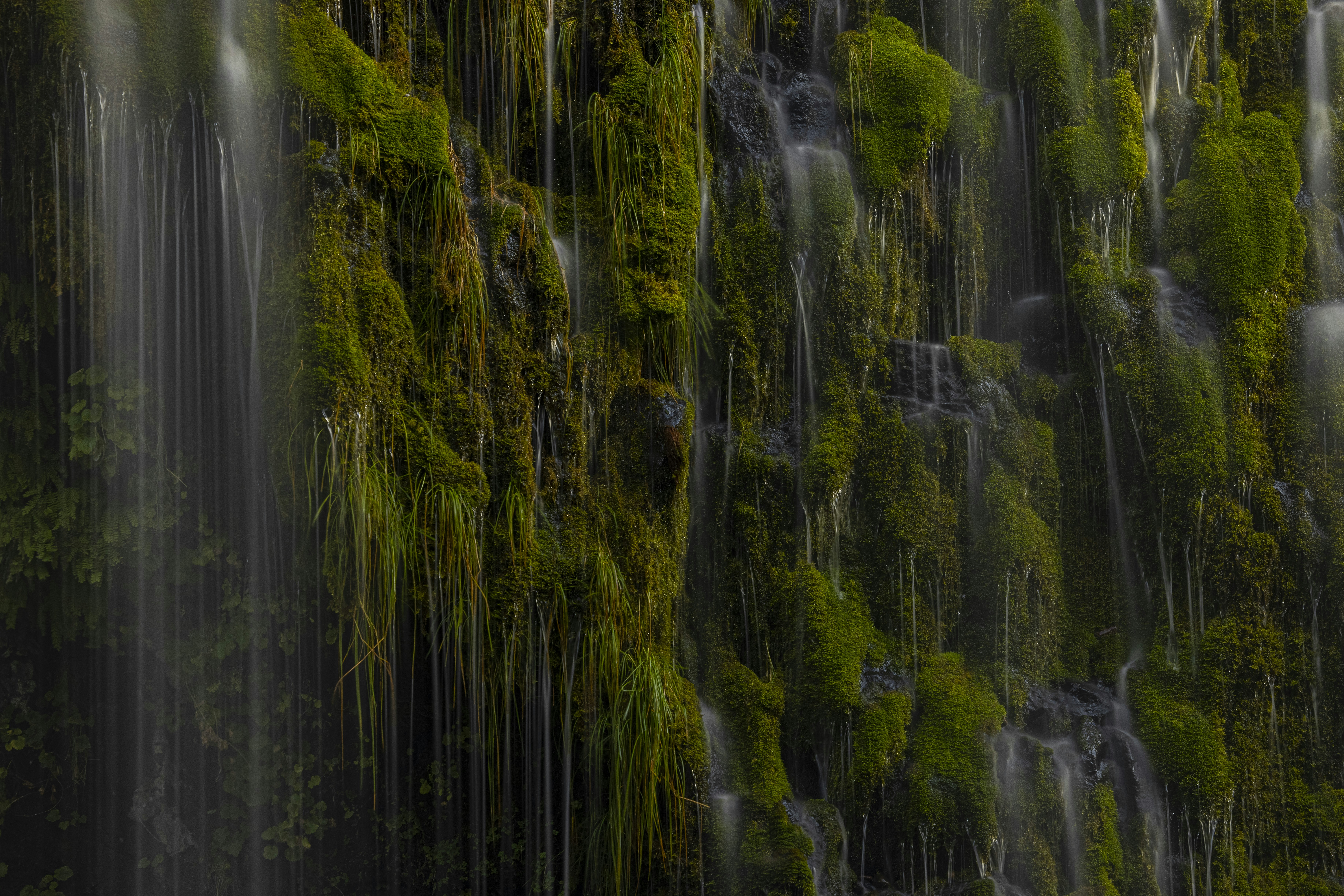 Photo by leo_visions_