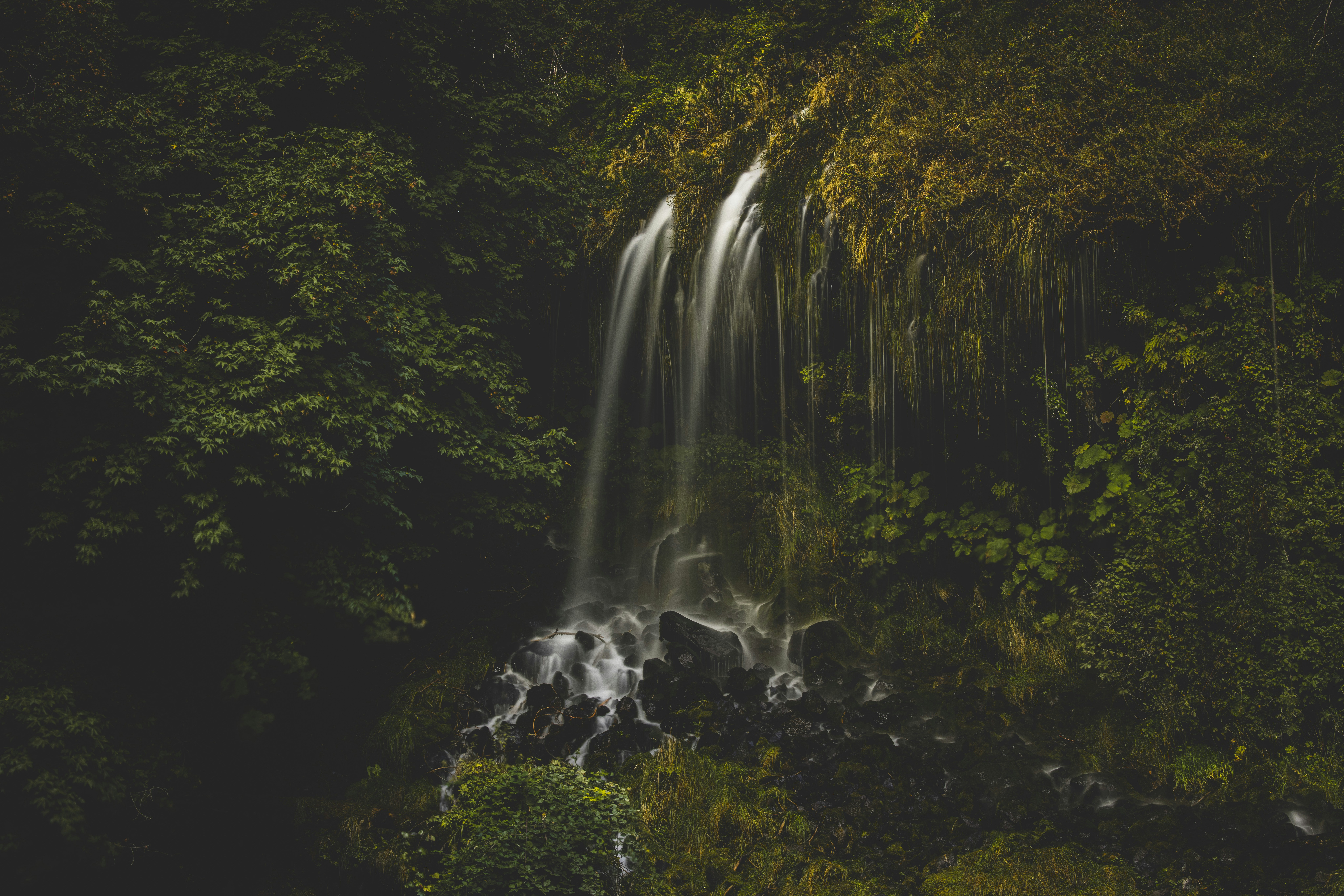 Photo by leo_visions_