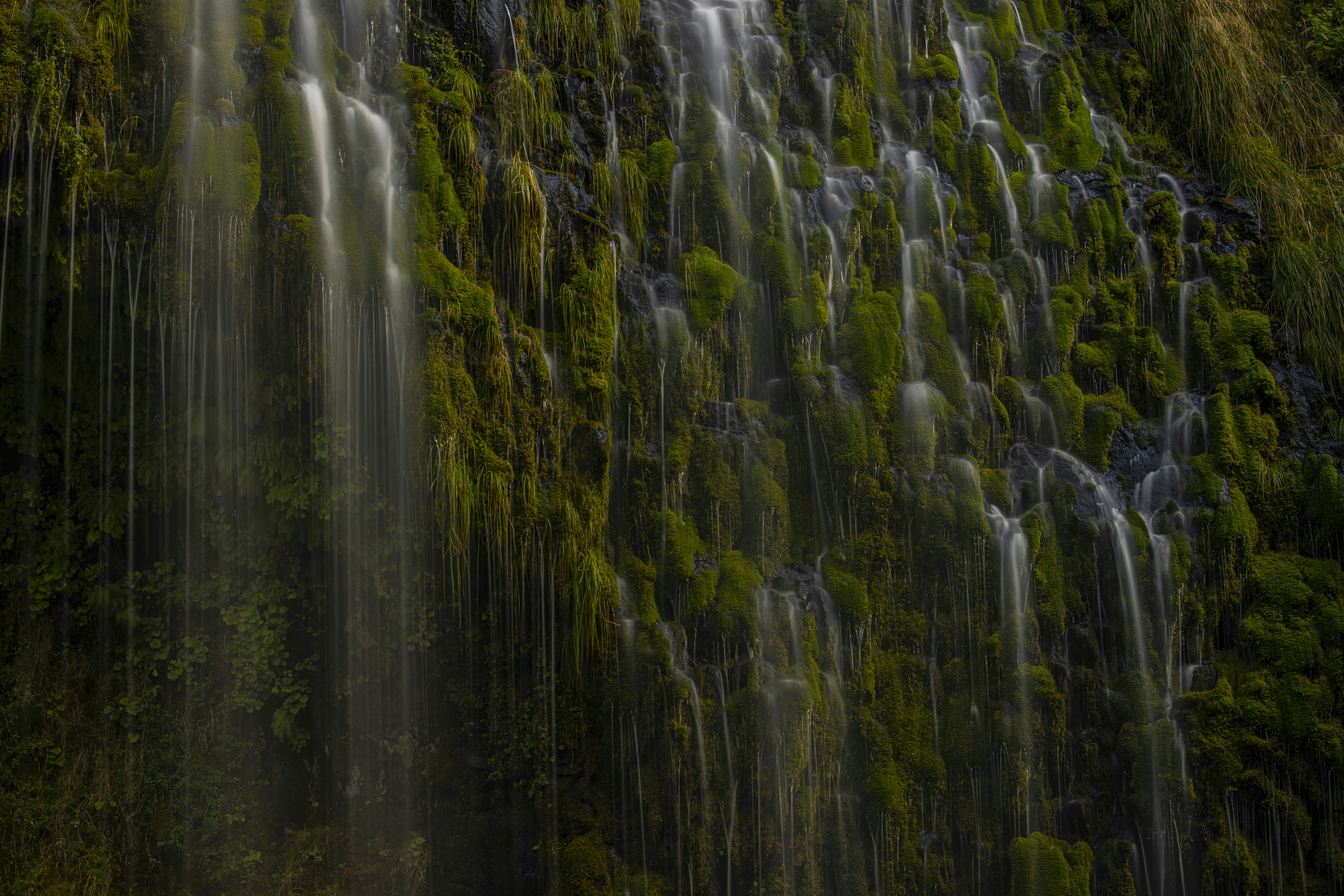 Photo by leo_visions_