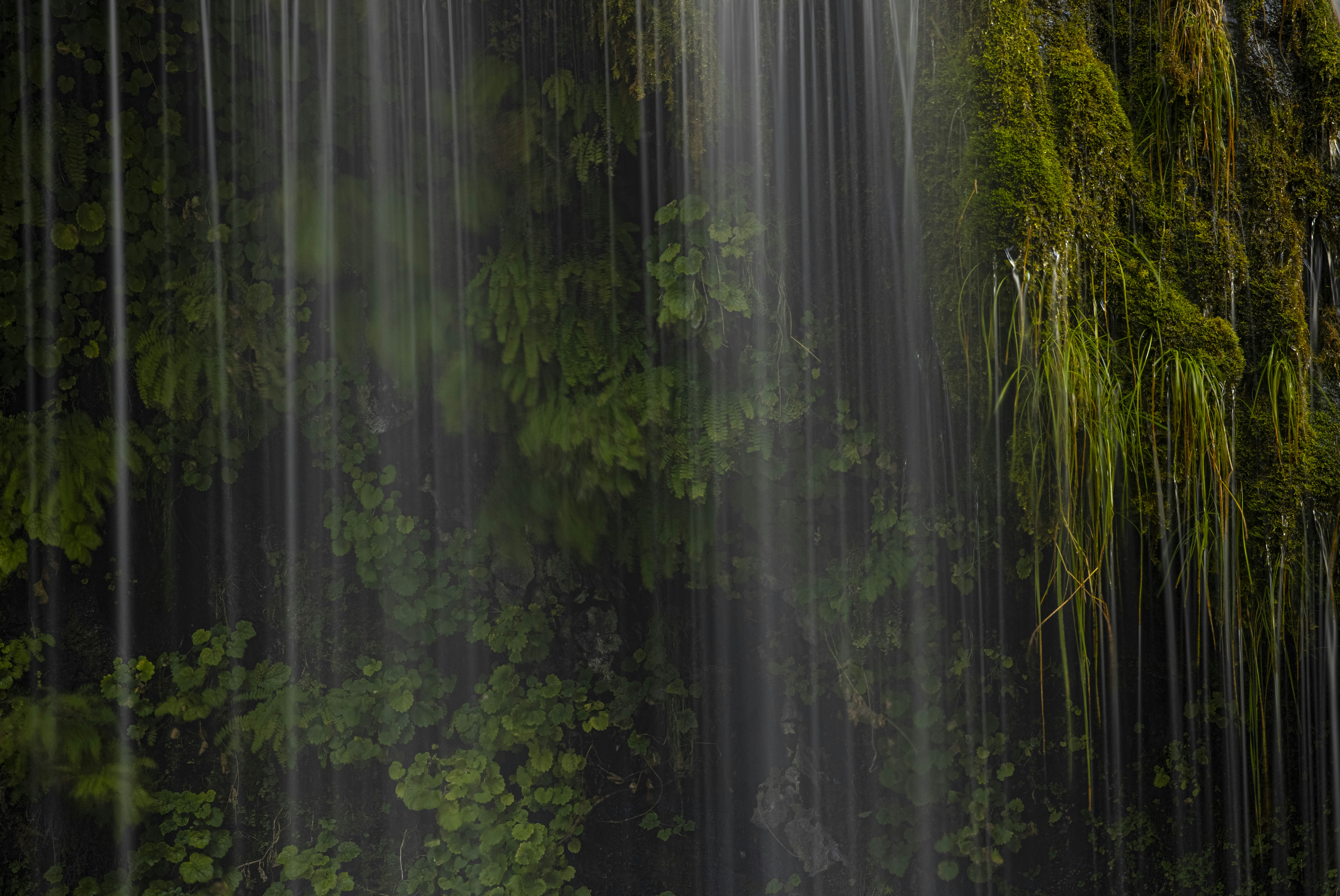 Photo by leo_visions_