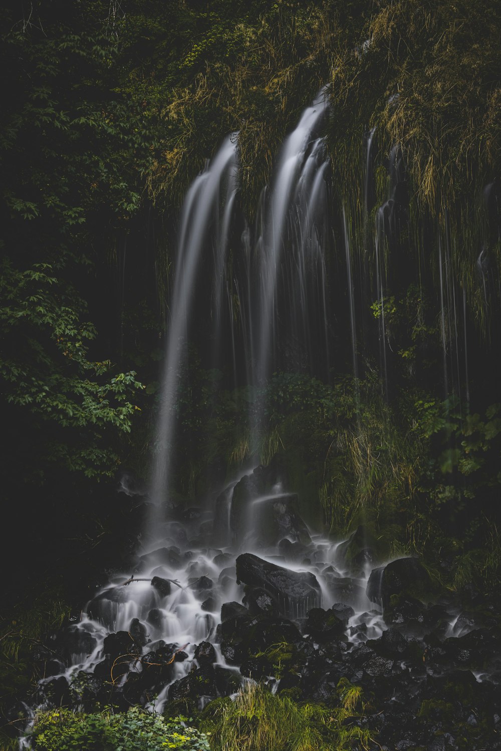 water falls in the middle of green trees