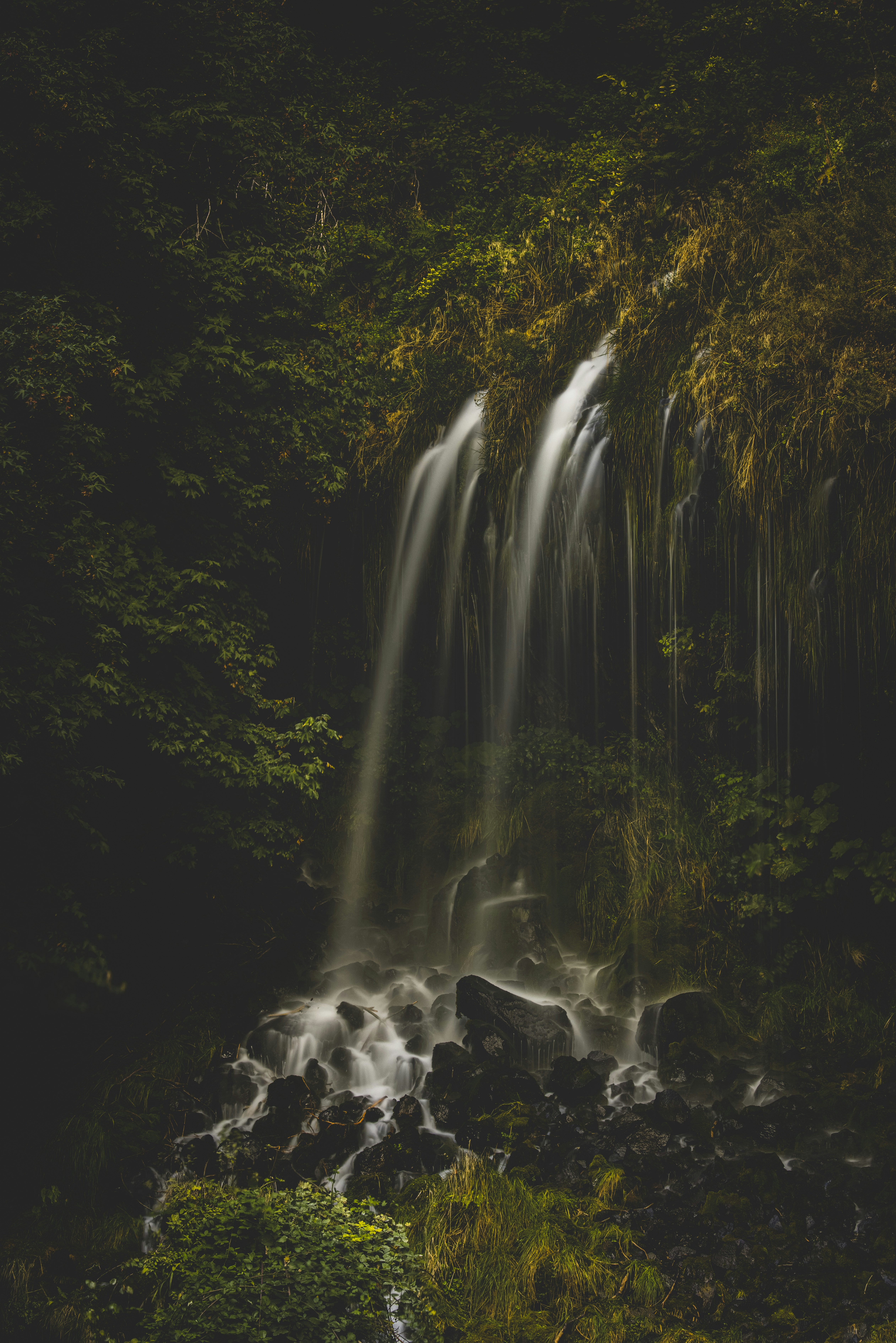 Photo by leo_visions_