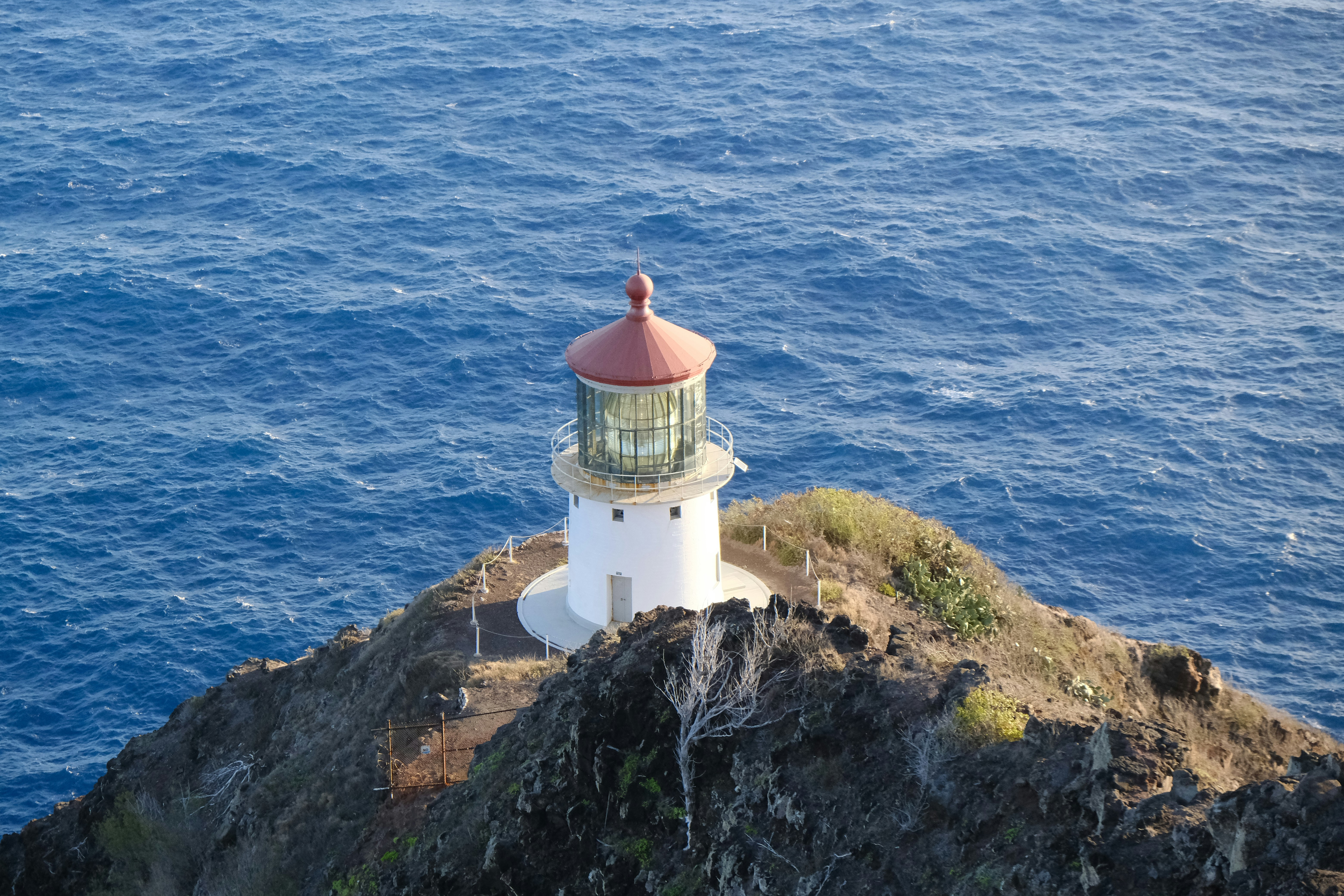 Photo by atoto_photo