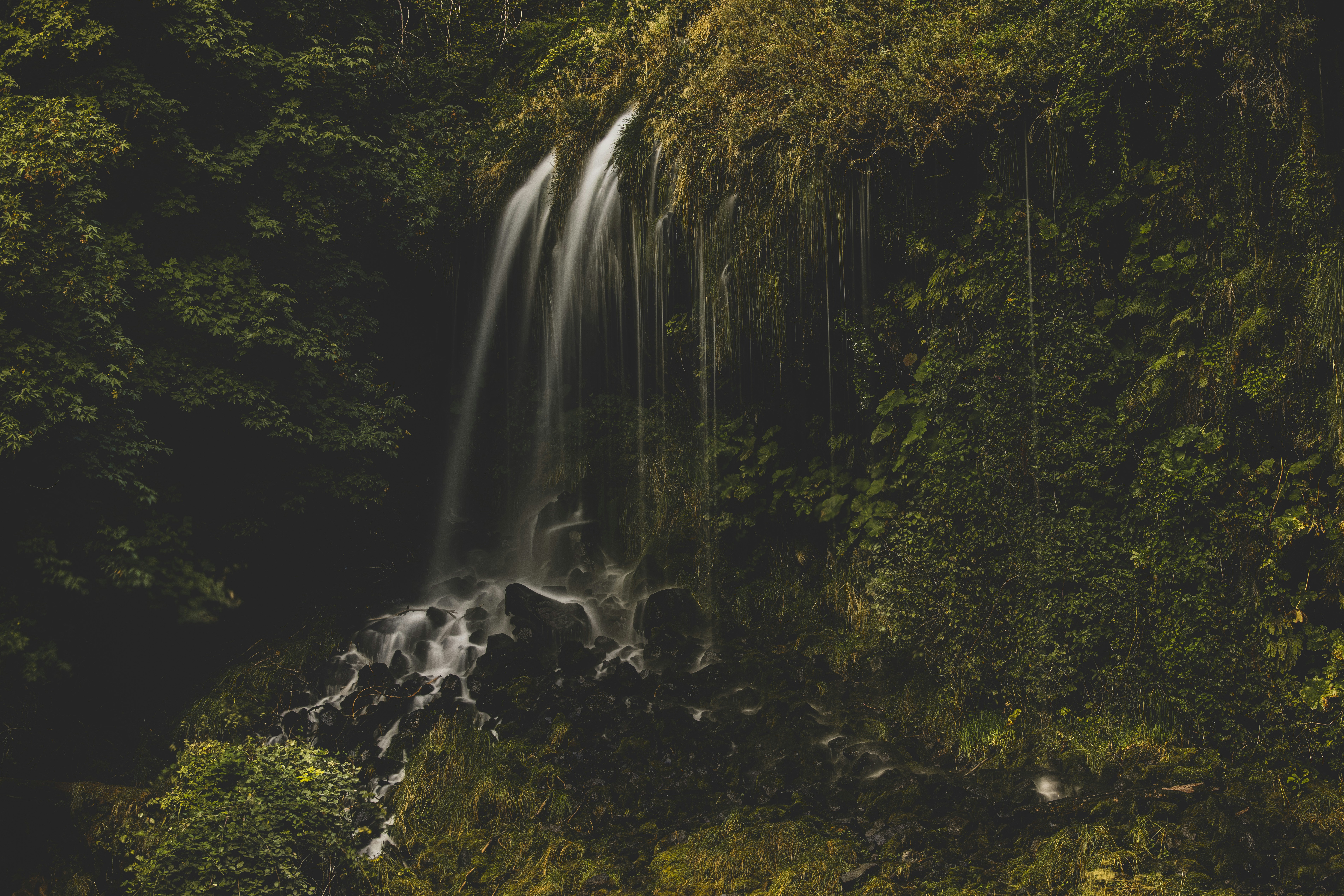 Photo by leo_visions_