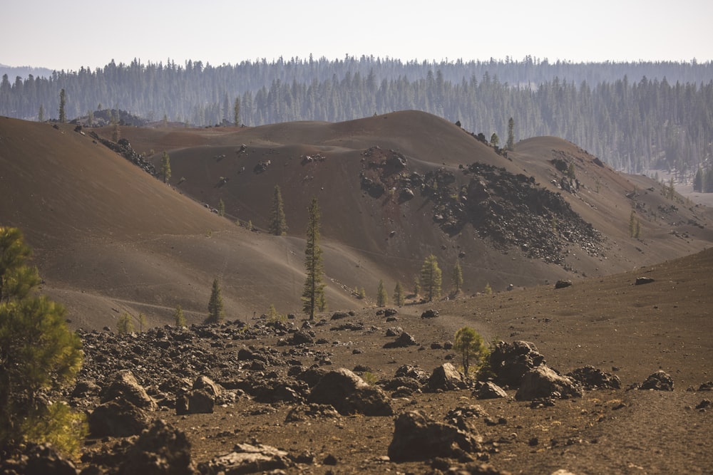 green trees on brown mountain during daytime