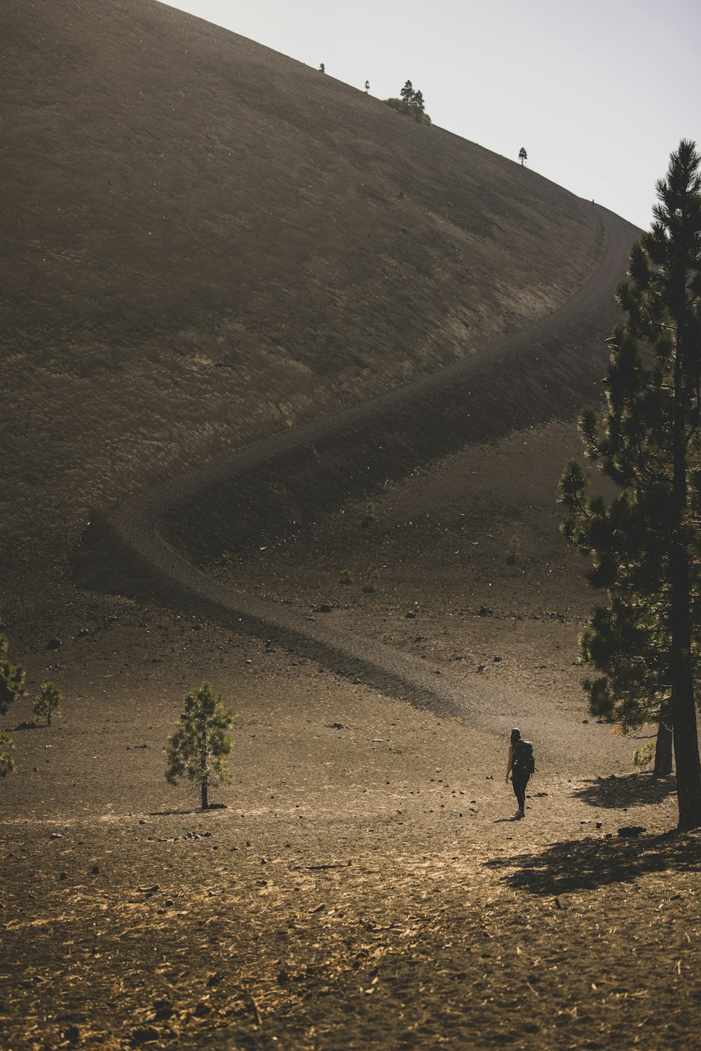 person walking on dirt road