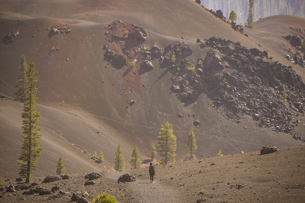 person walking on brown dirt road near green trees and brown mountain during daytime