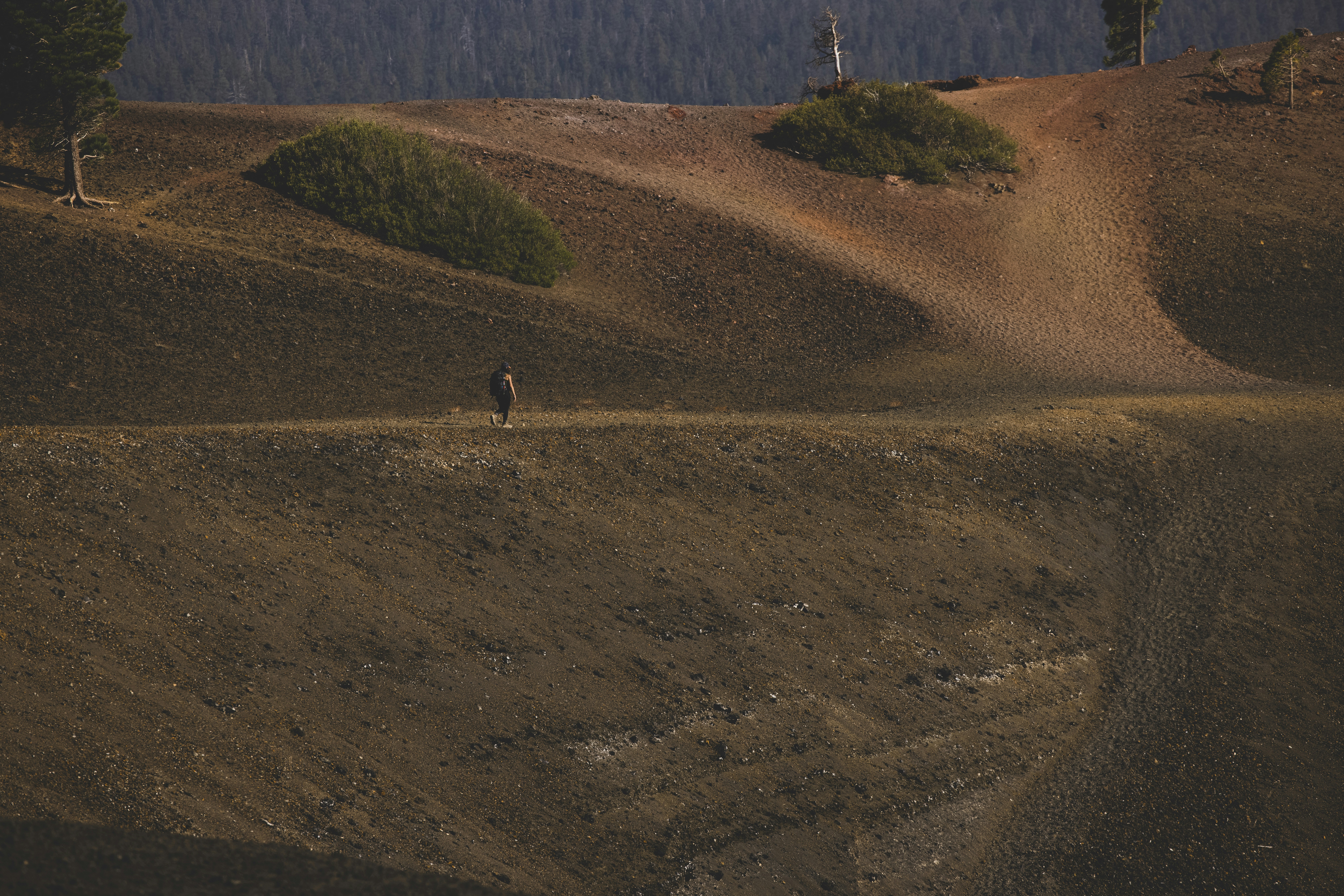 Photo by leo_visions_