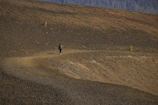 A solitary figure walking along a dusty path surrounded by sparse desert shrubs.