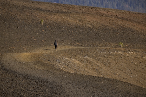 A solitary figure walking through a vast, recovering landscape.