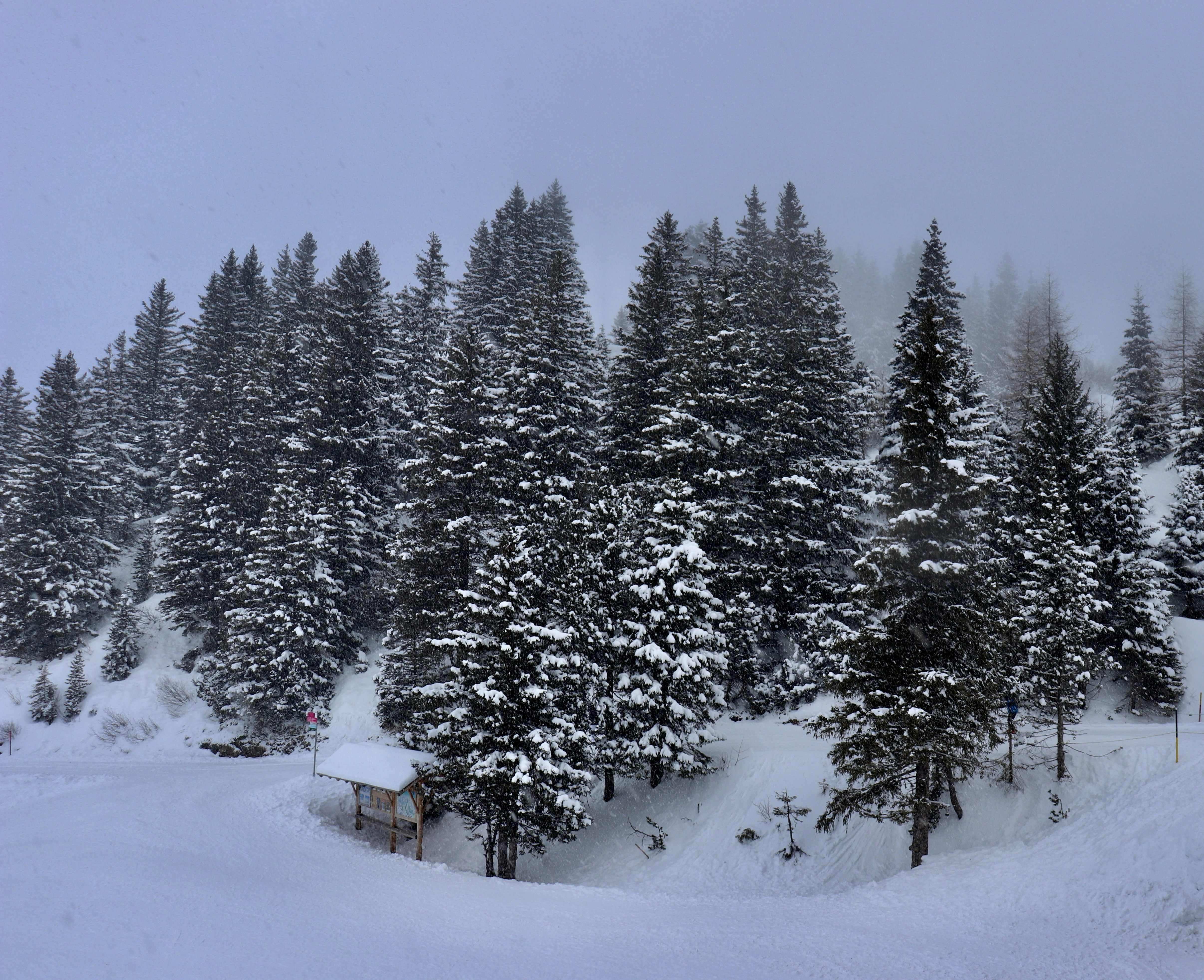 La Station de Ski Villard de Lans : Évasion et Aventure au Cœur des Alpes