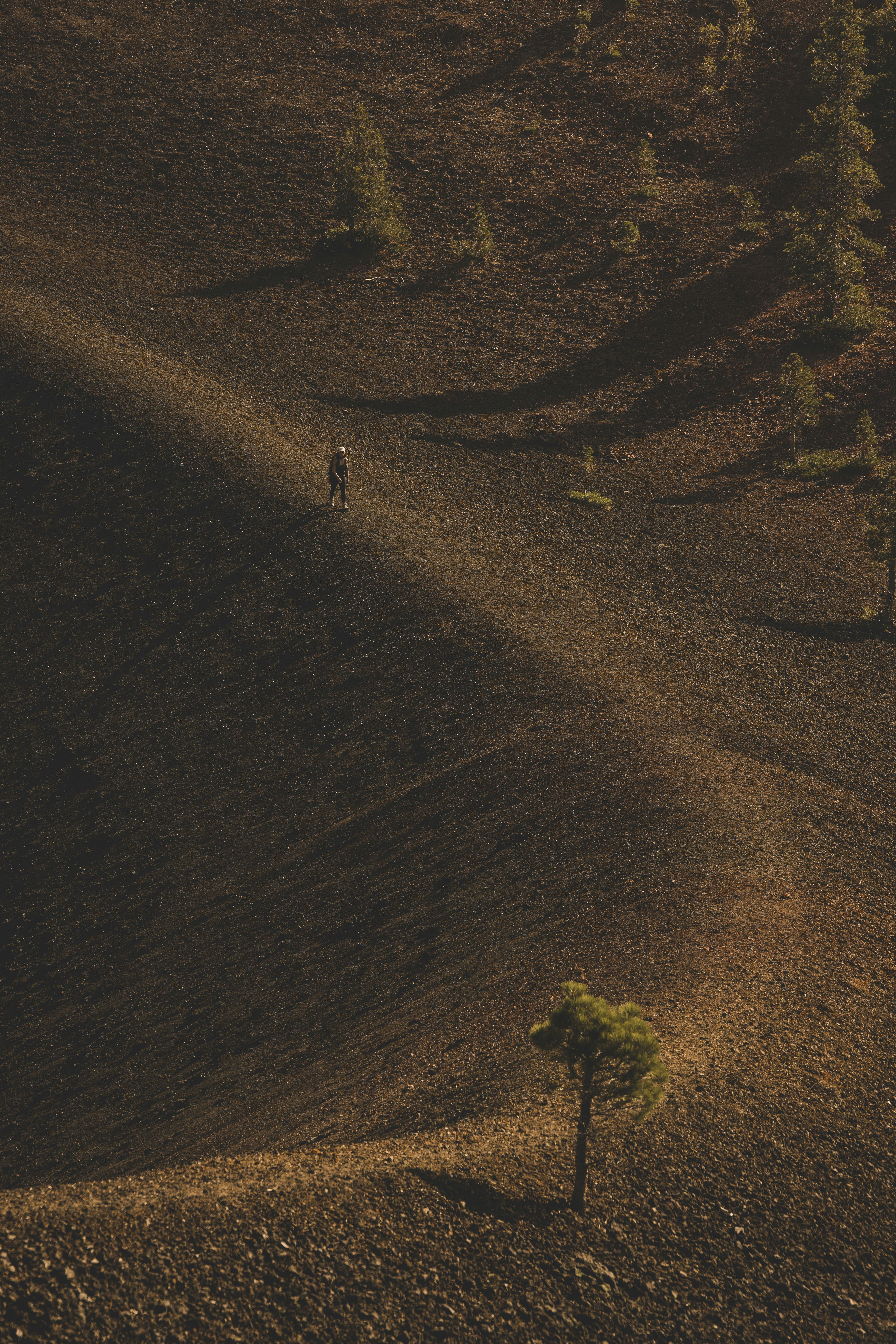 Photo by leo_visions_