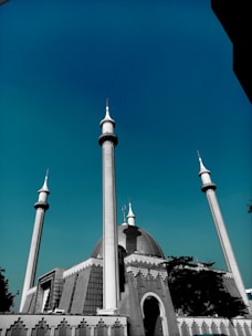 A large mosque with a prominent dome and several tall minarets under a clear blue sky. The architecture features intricate patterns and a blend of traditional and modern elements. Trees partially frame the structure, adding contrast to the urban setting.
