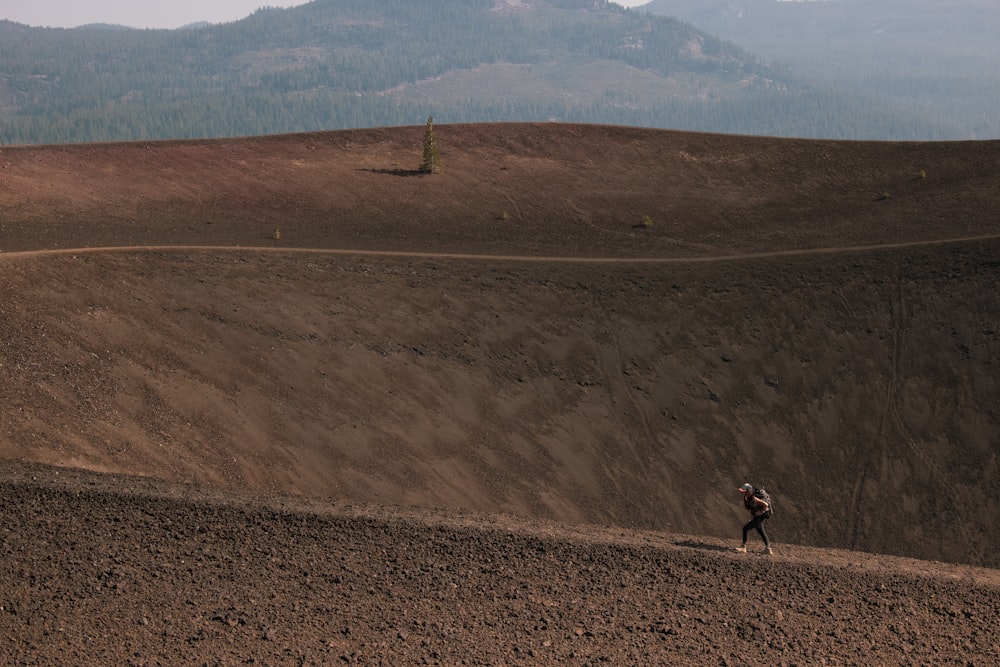 2 people walking on brown field during daytime