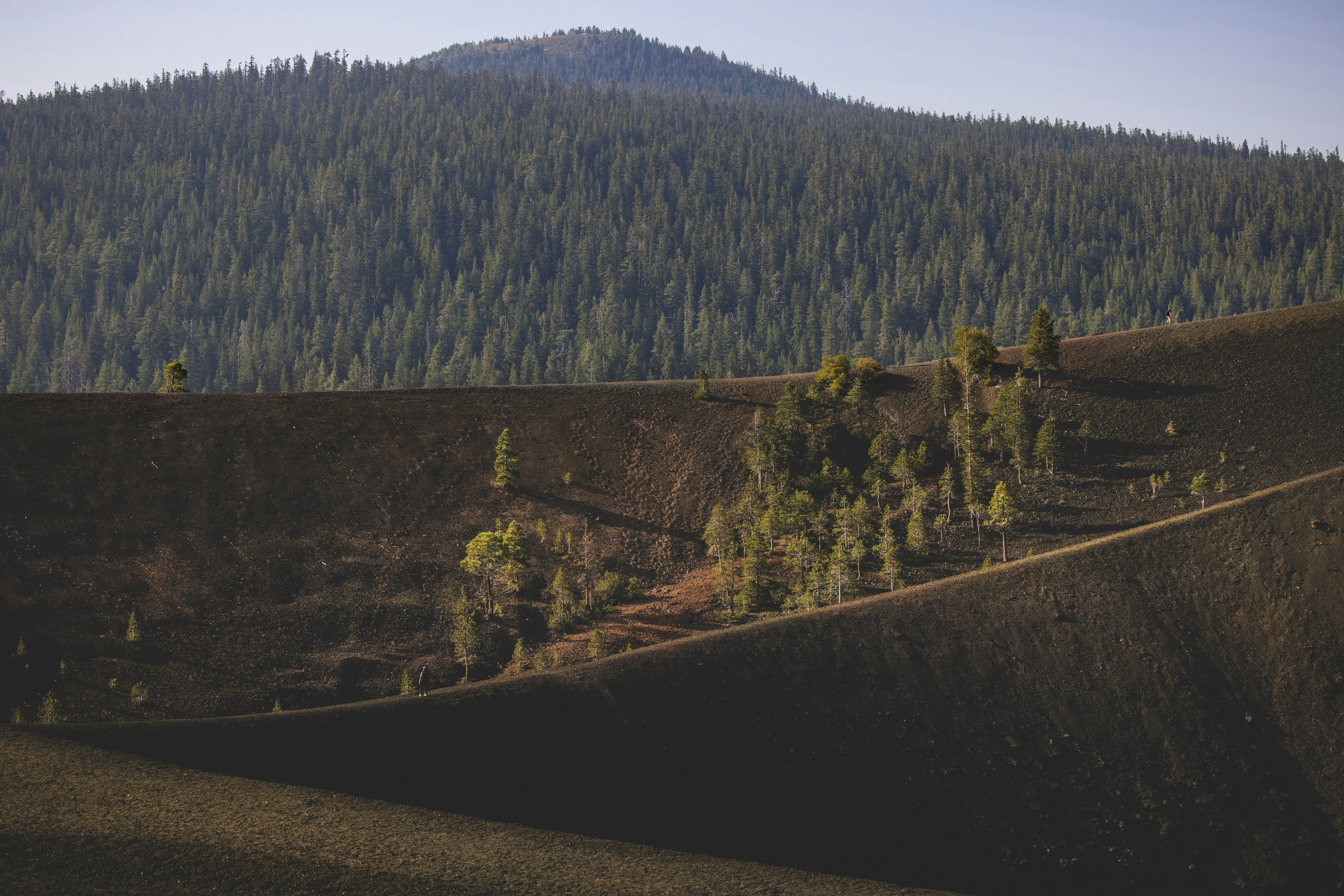 Photo by leo_visions_