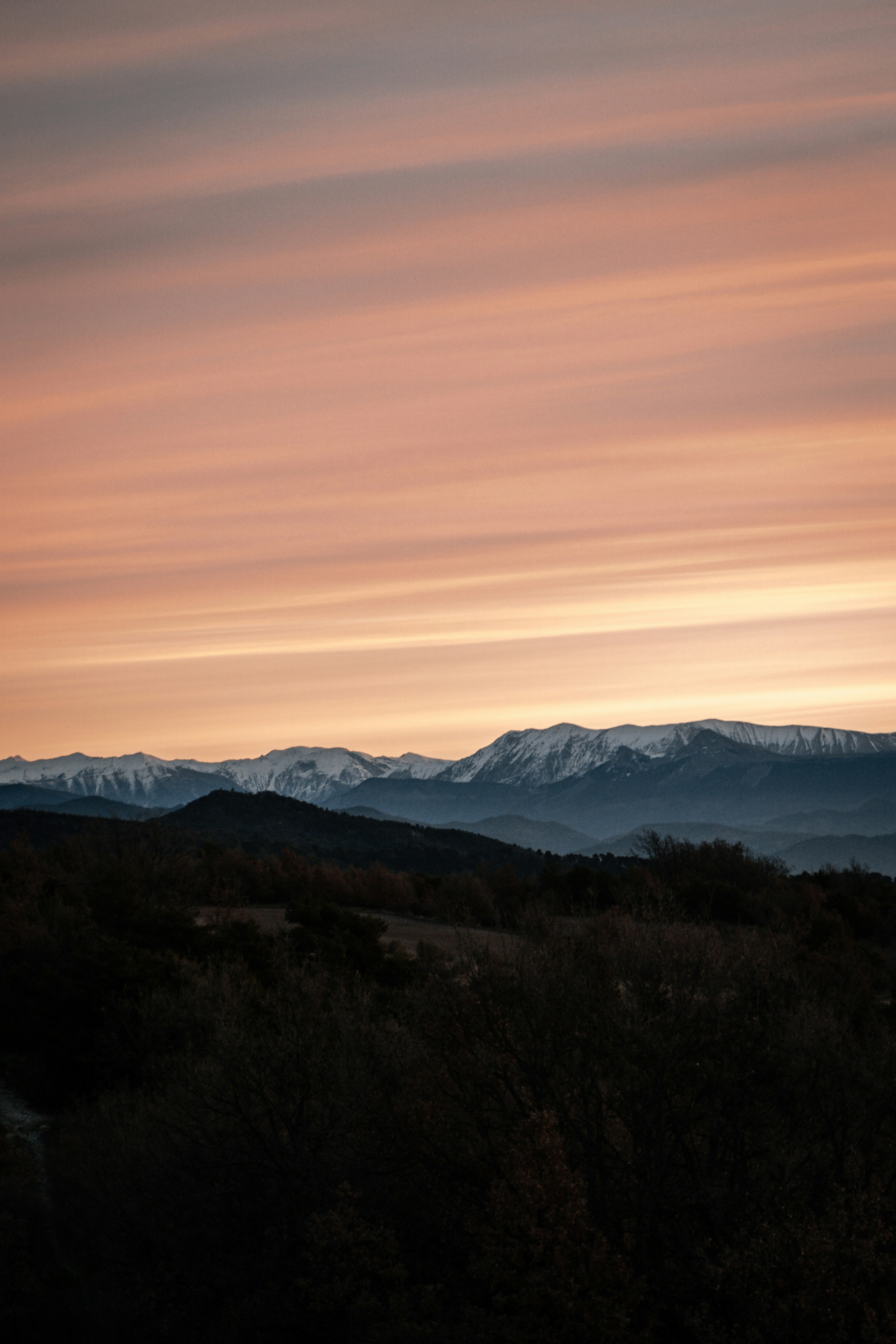 green trees and mountains during daytime
