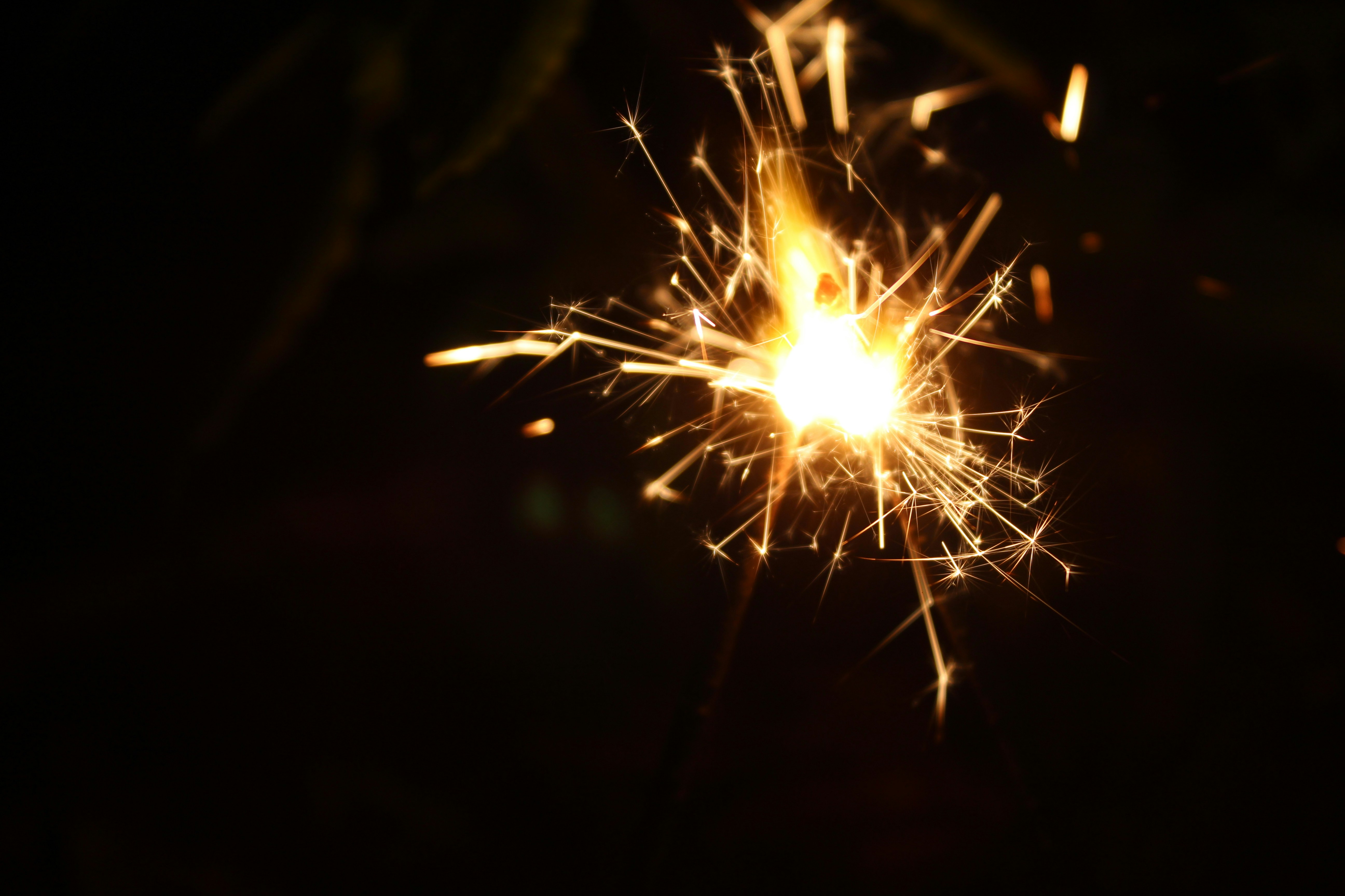 Photo by throwingjungle