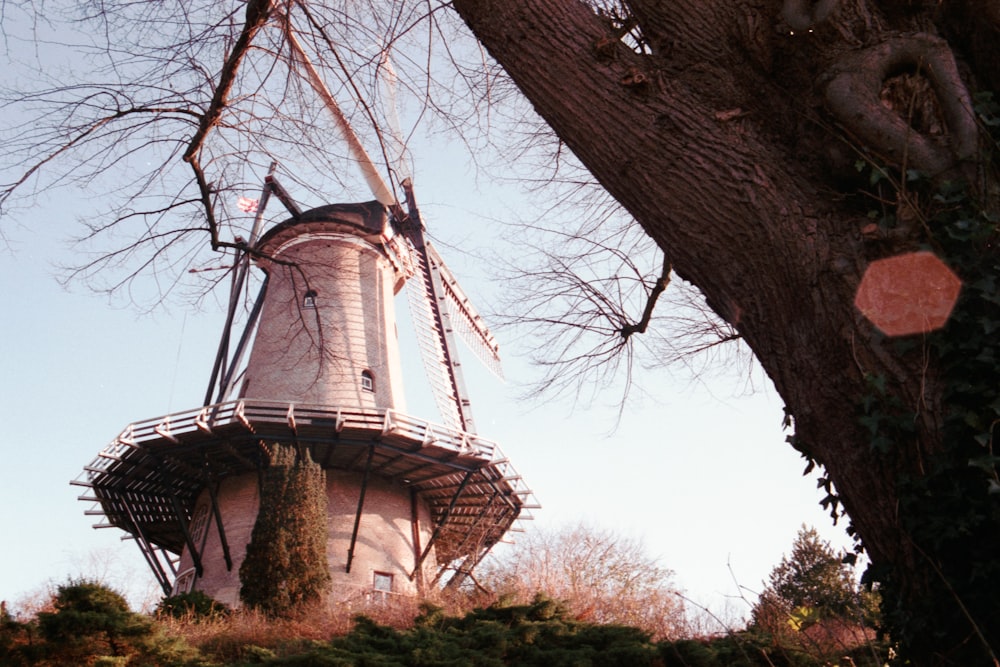 brown and white windmill near bare trees during daytime