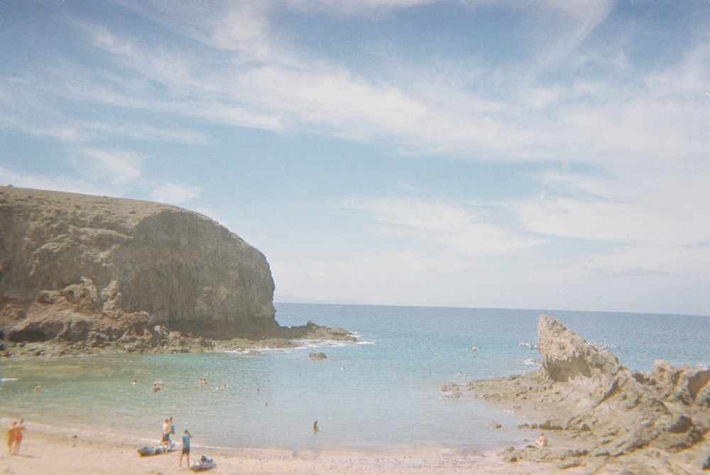 people on beach during daytime