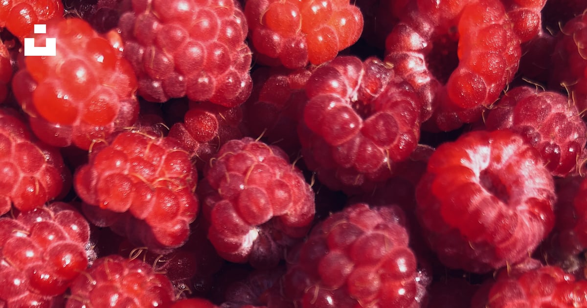 A bunch of raspberries that are very ripe photo – Free Россия Image on ...