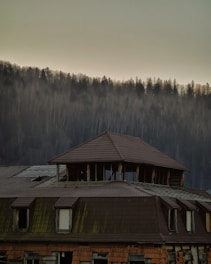 a building with a brown roof and a forest in the background