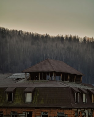 a building with a brown roof and a forest in the background