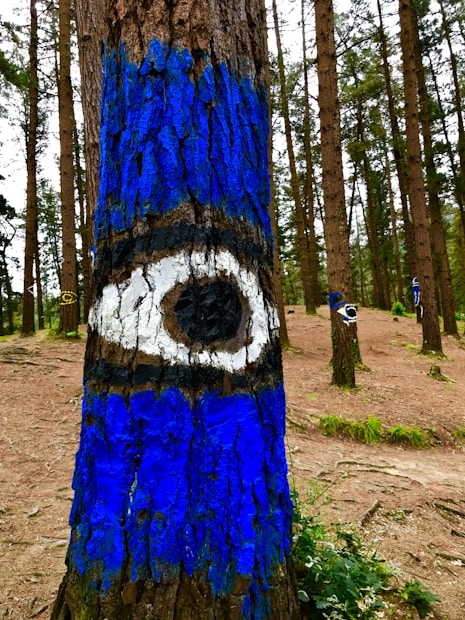 A forest with several trees, one prominently featuring a painted blue stripe and an eye-like pattern. The artwork consists of vivid blue, black, and white colors contrasting against the natural brown bark. The forest floor is covered in dirt and scattered greenery.
