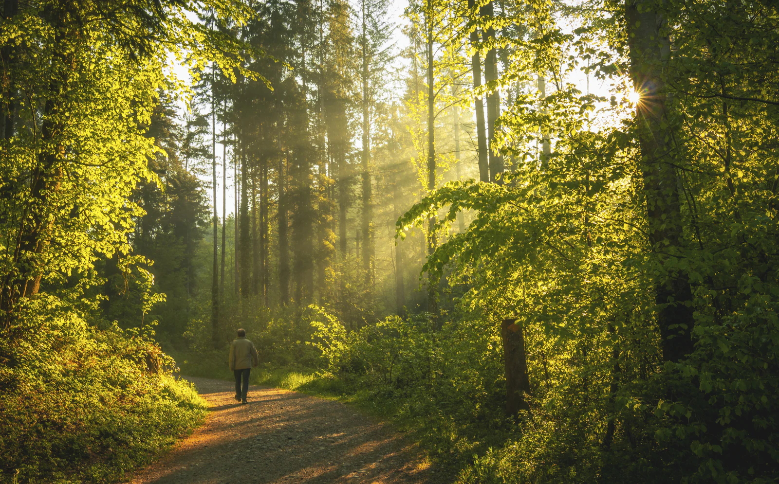 Walking as Meditation (Yes, It Counts)